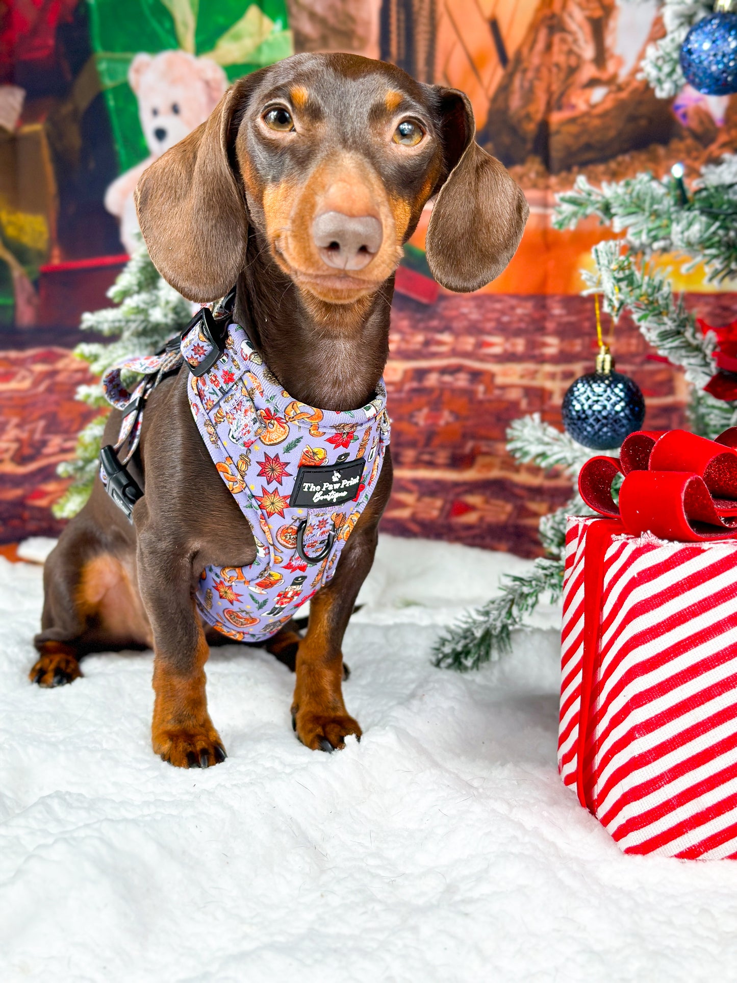 The Christmas Market Adjustable Harness