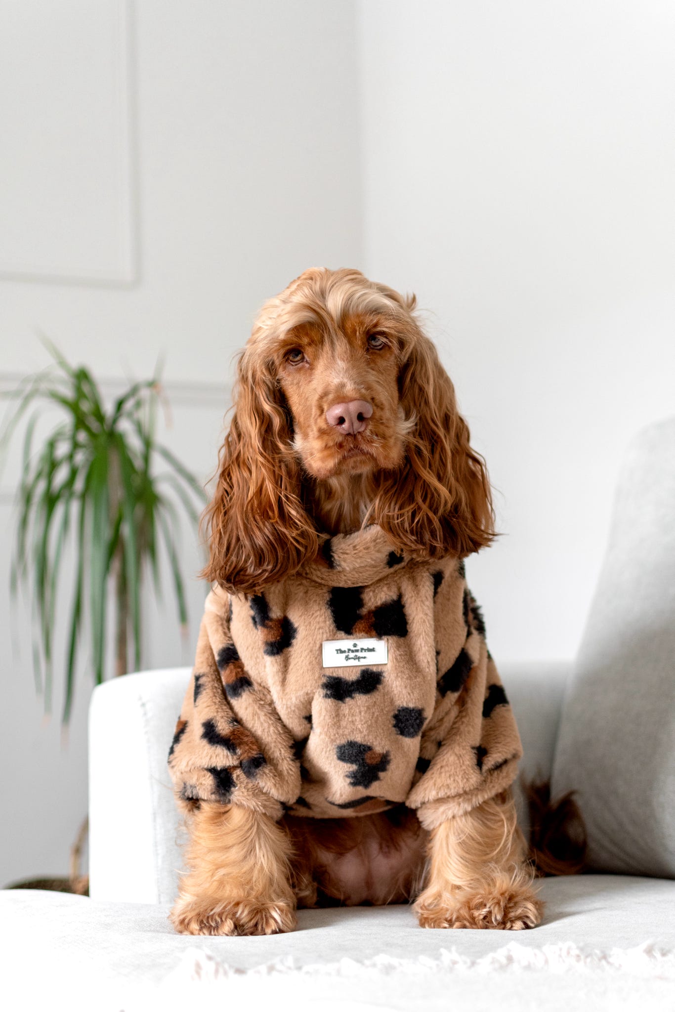 The Leopard Print (Brown) Fluffy & Fabulous Fleece