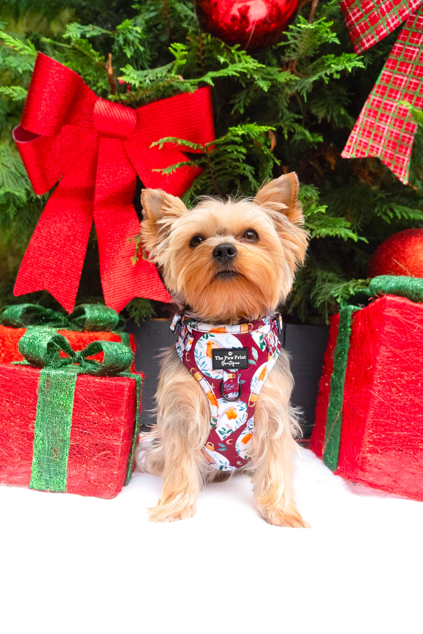 The Rockin' Robins Adjustable Harness