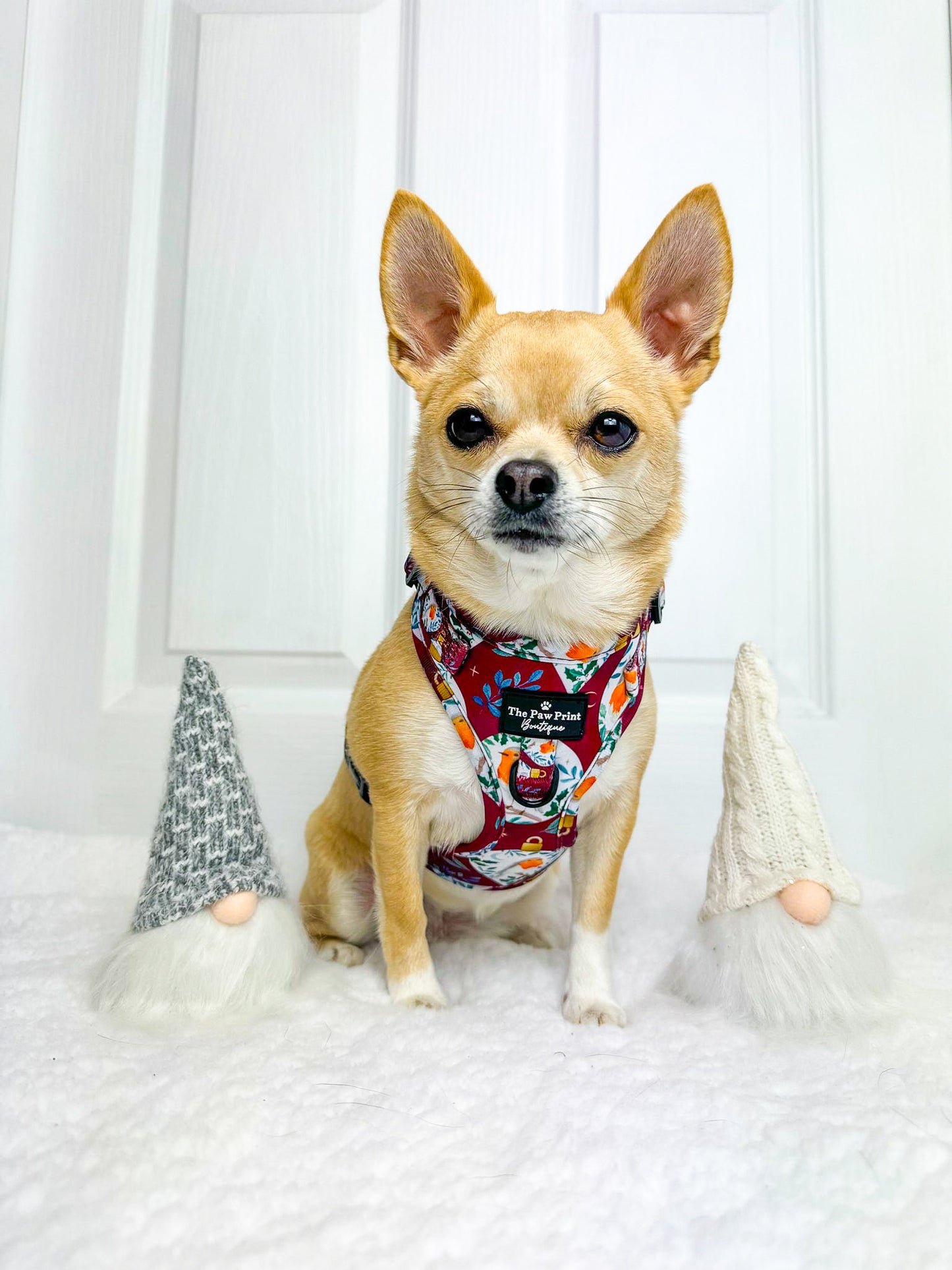 The Rockin' Robins Adjustable Harness