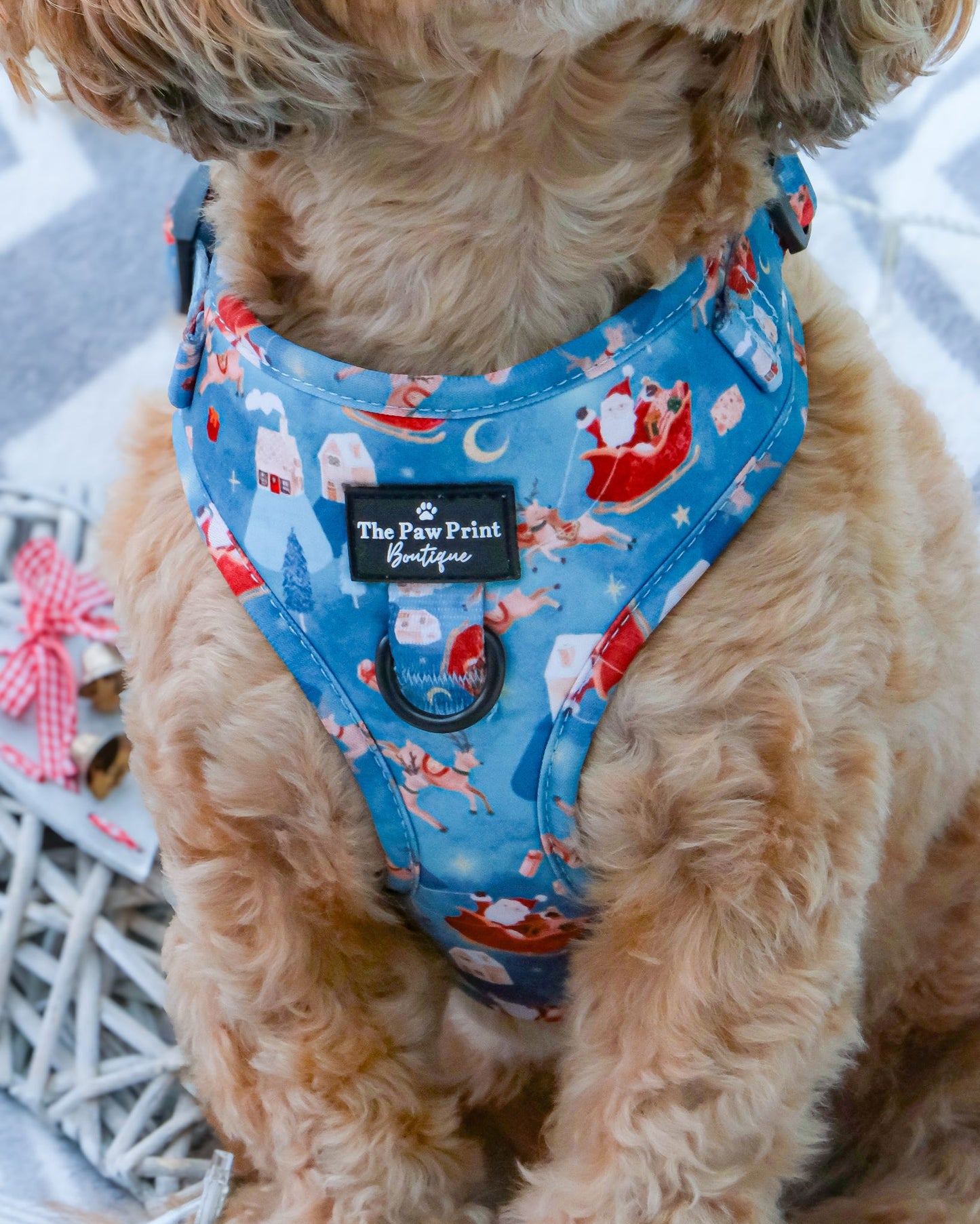The Sleighing Santa Adjustable Harness