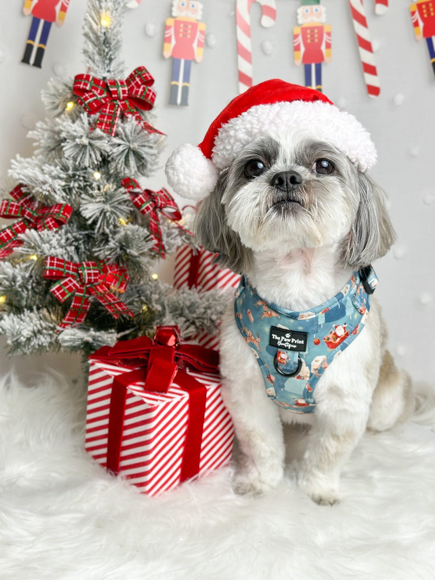 The Sleighing Santa Adjustable Harness