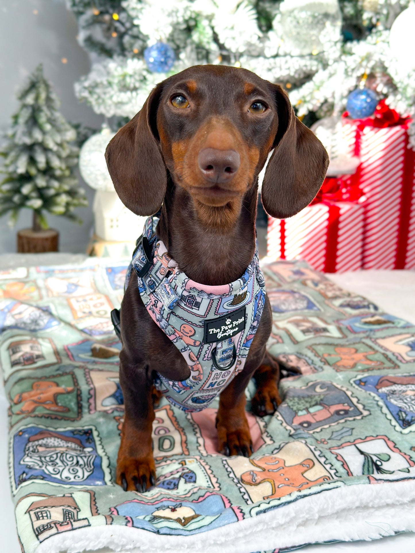 The Santas Stamps Adjustable Harness