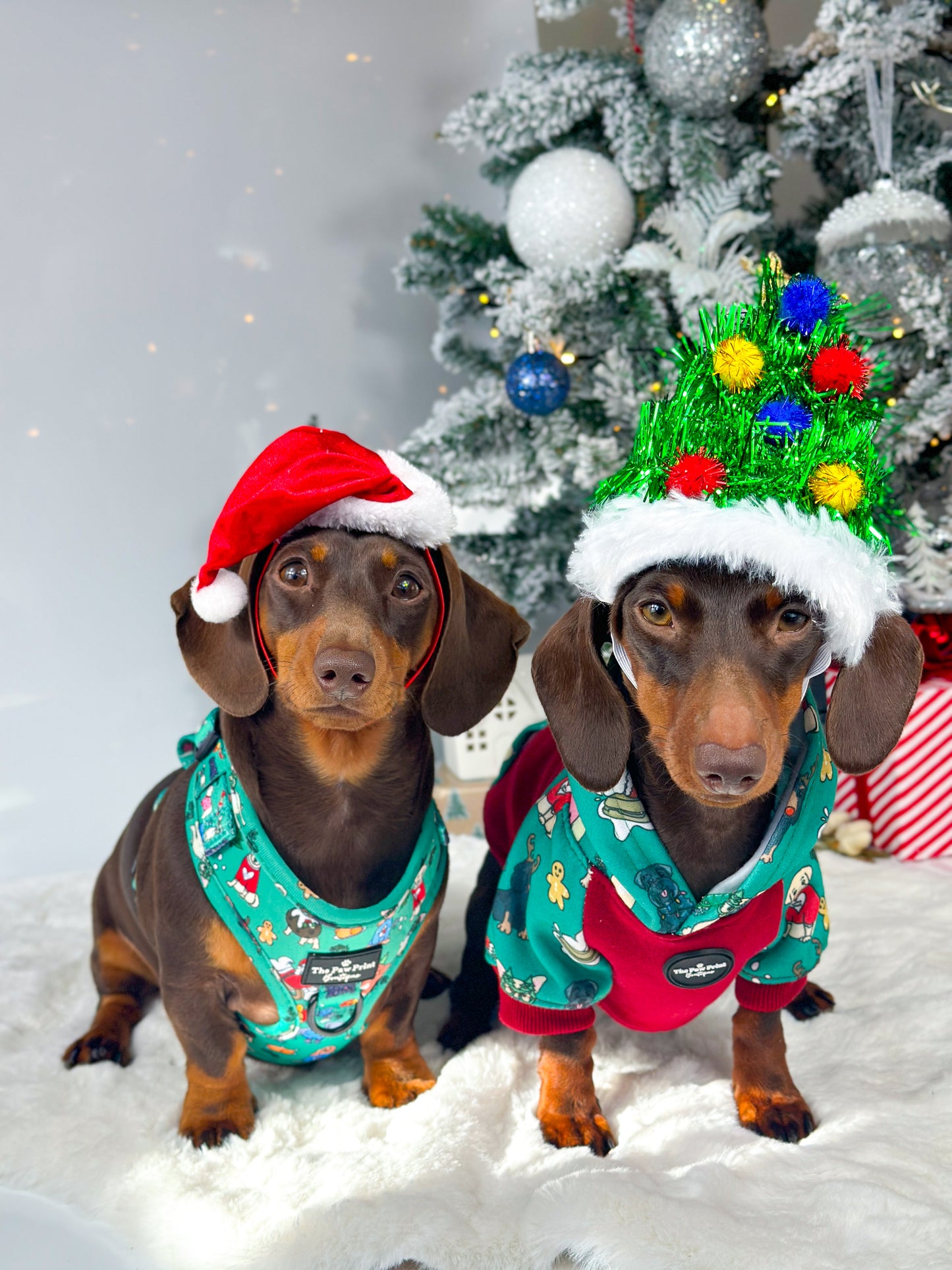 The Santa Paws Adjustable Harness