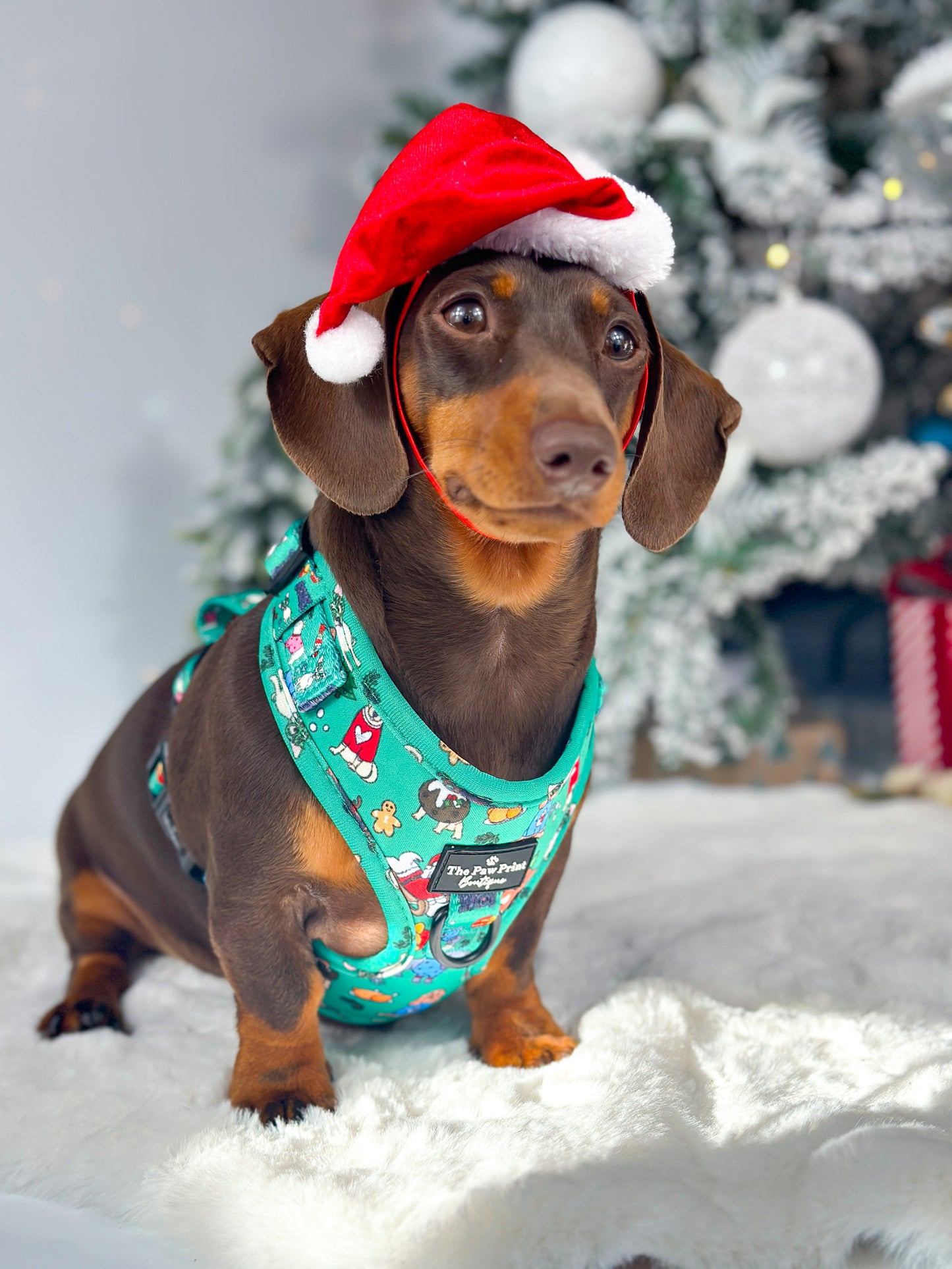 The Santa Paws Adjustable Harness