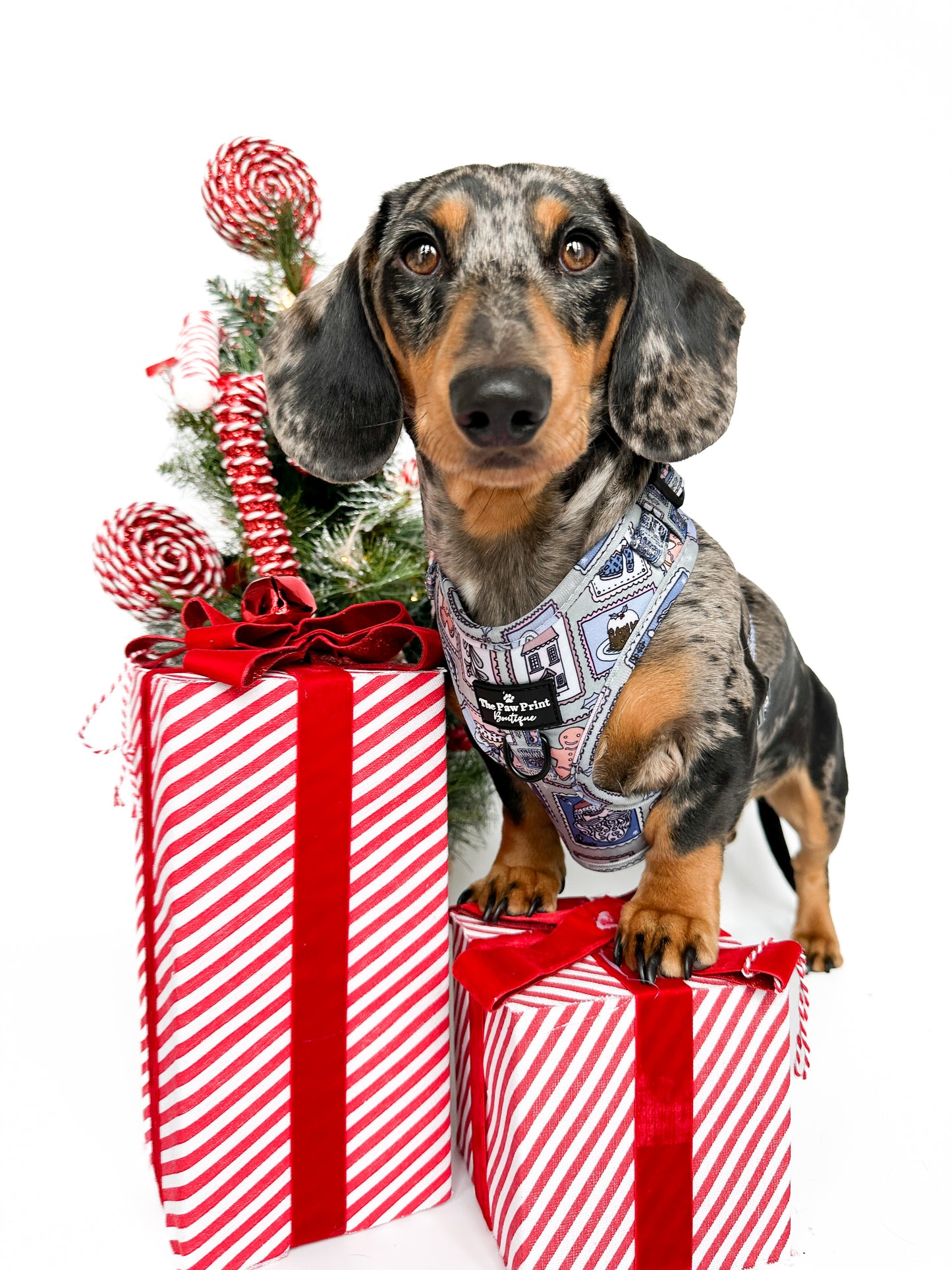 The Santas Stamps Adjustable Harness