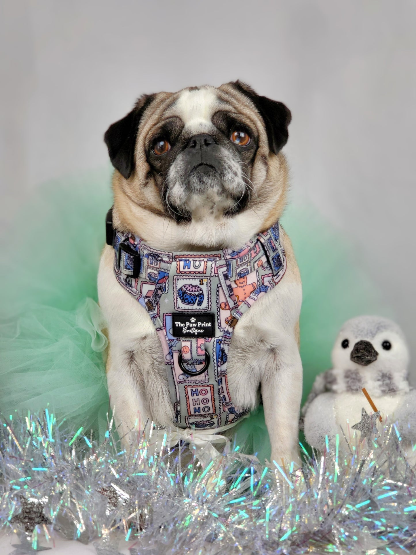 The Santas Stamps Adventure Paws Harness