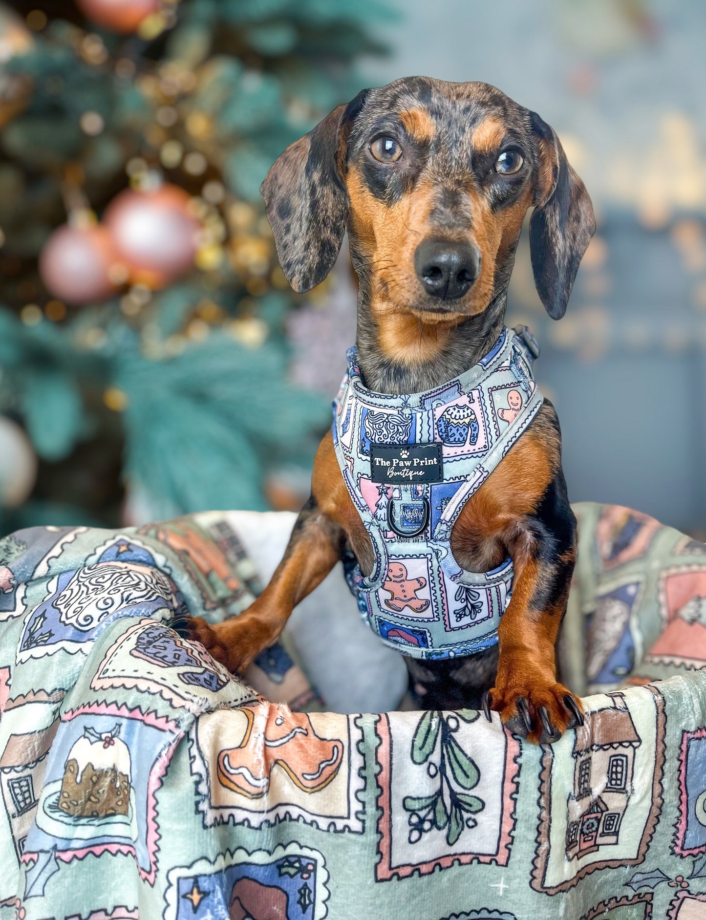 The Santas Stamps Adjustable Harness