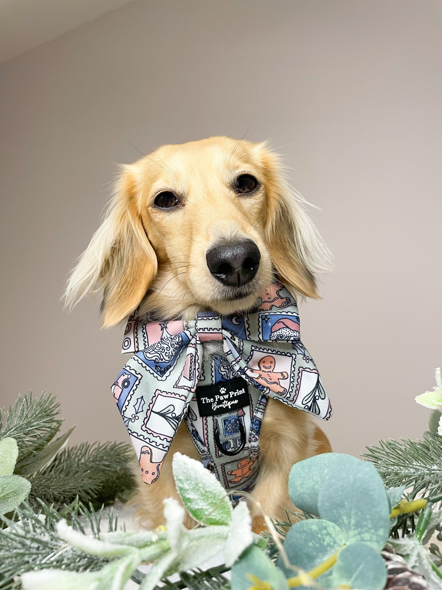 The Santas Stamps Adjustable Harness