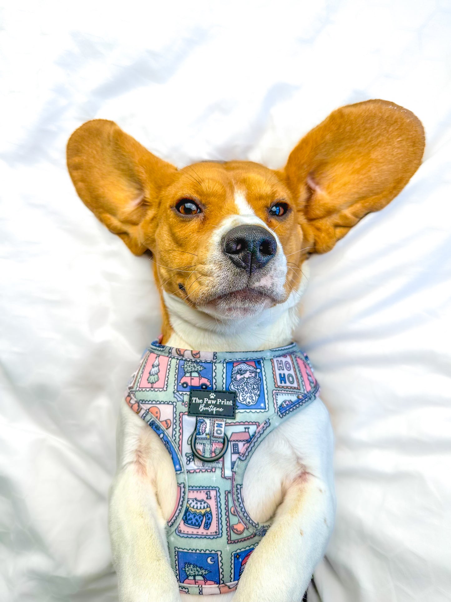 The Santas Stamps Adjustable Harness