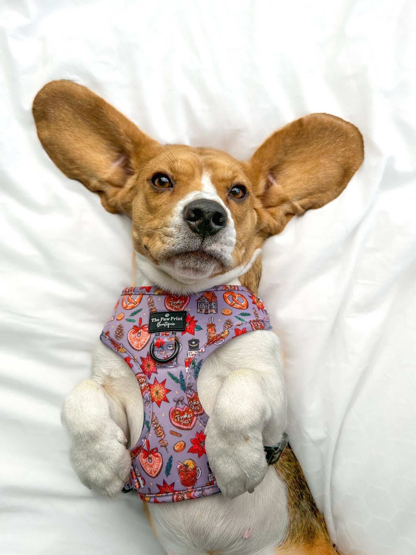 The Christmas Market Adjustable Harness