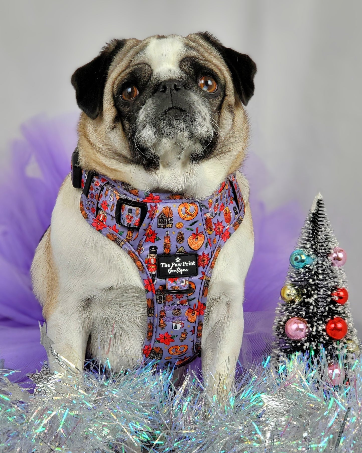 The Christmas Market Adventure Paws Harness