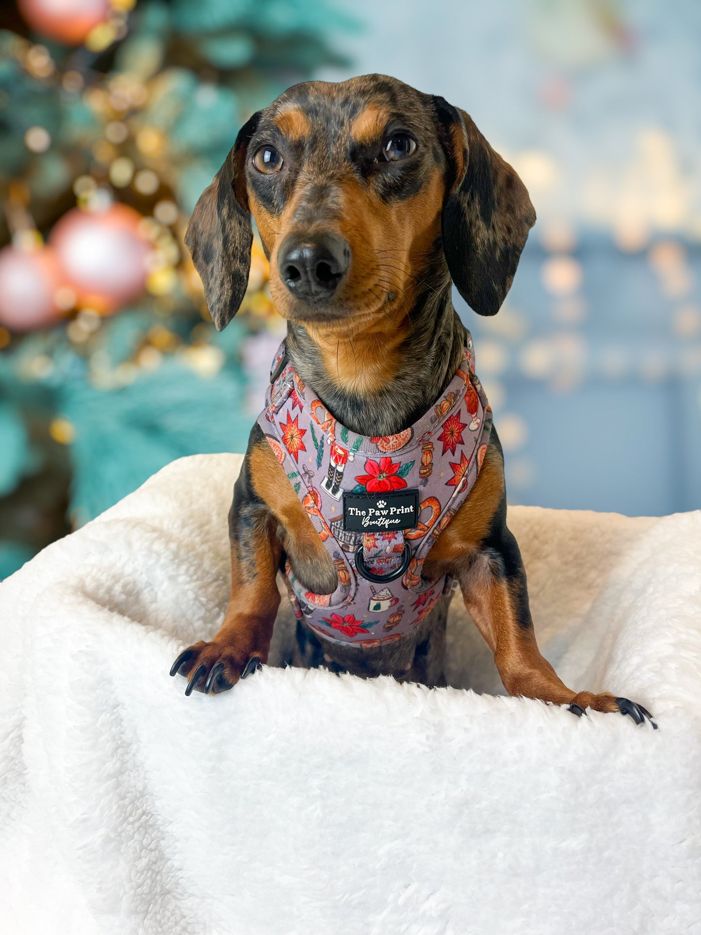 The Christmas Market Adjustable Harness