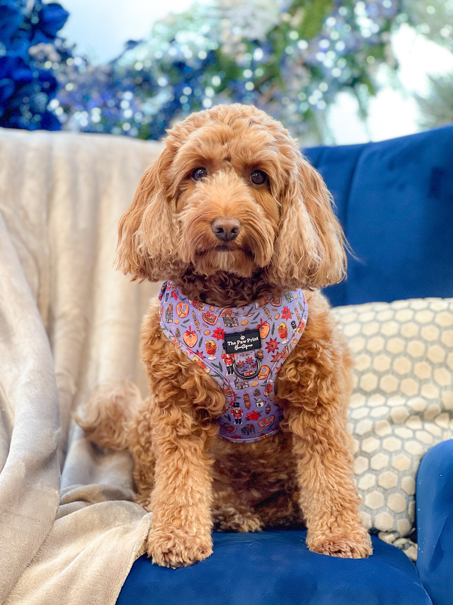 The Christmas Market Adjustable Harness