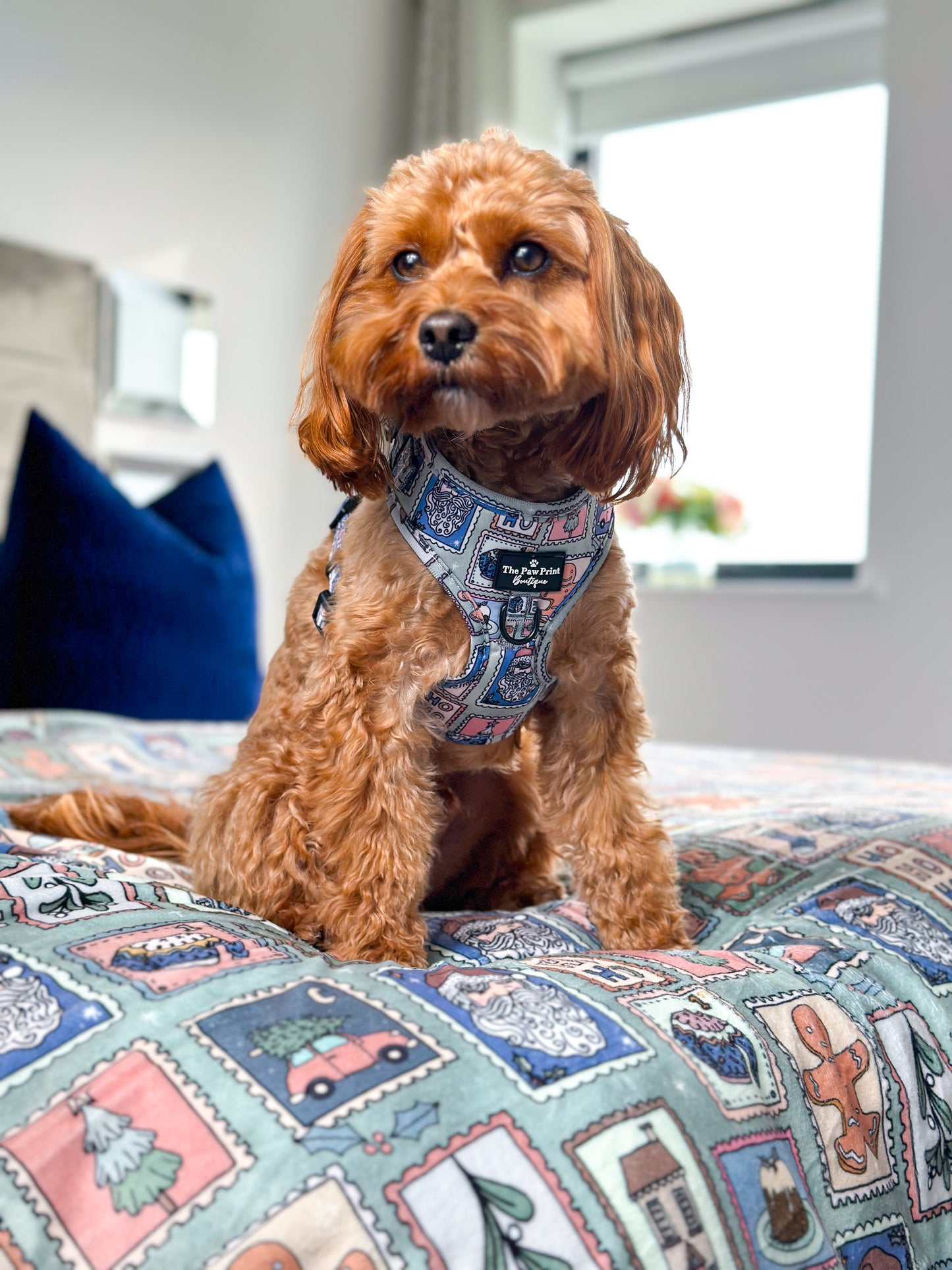 The Santas Stamps Adjustable Harness