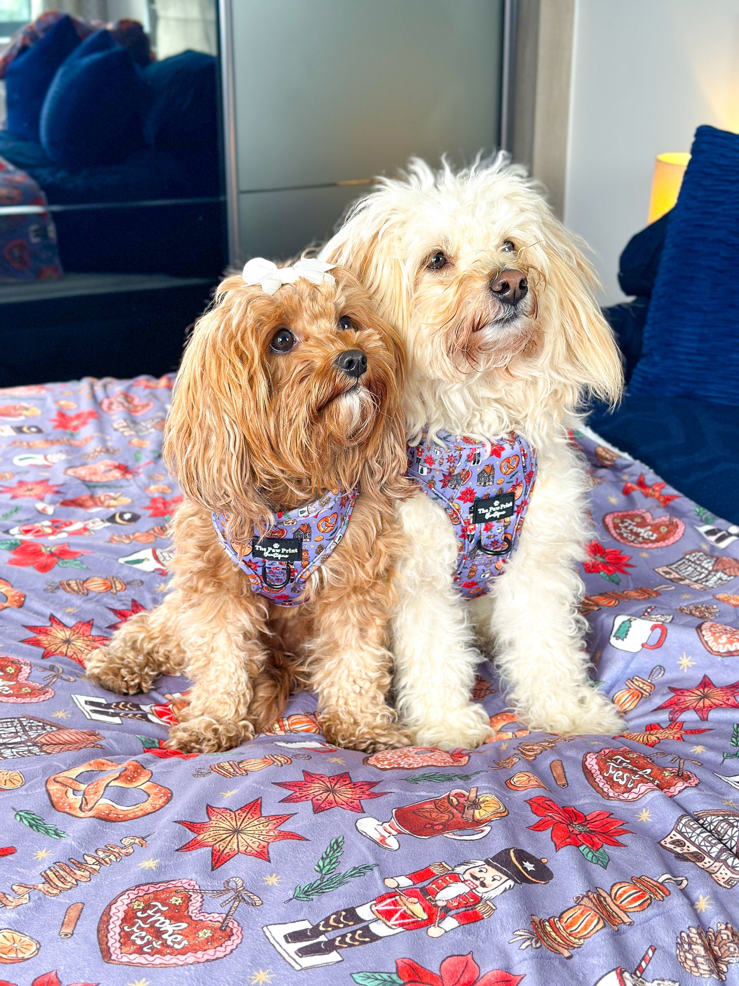 The Christmas Market Human Blanket