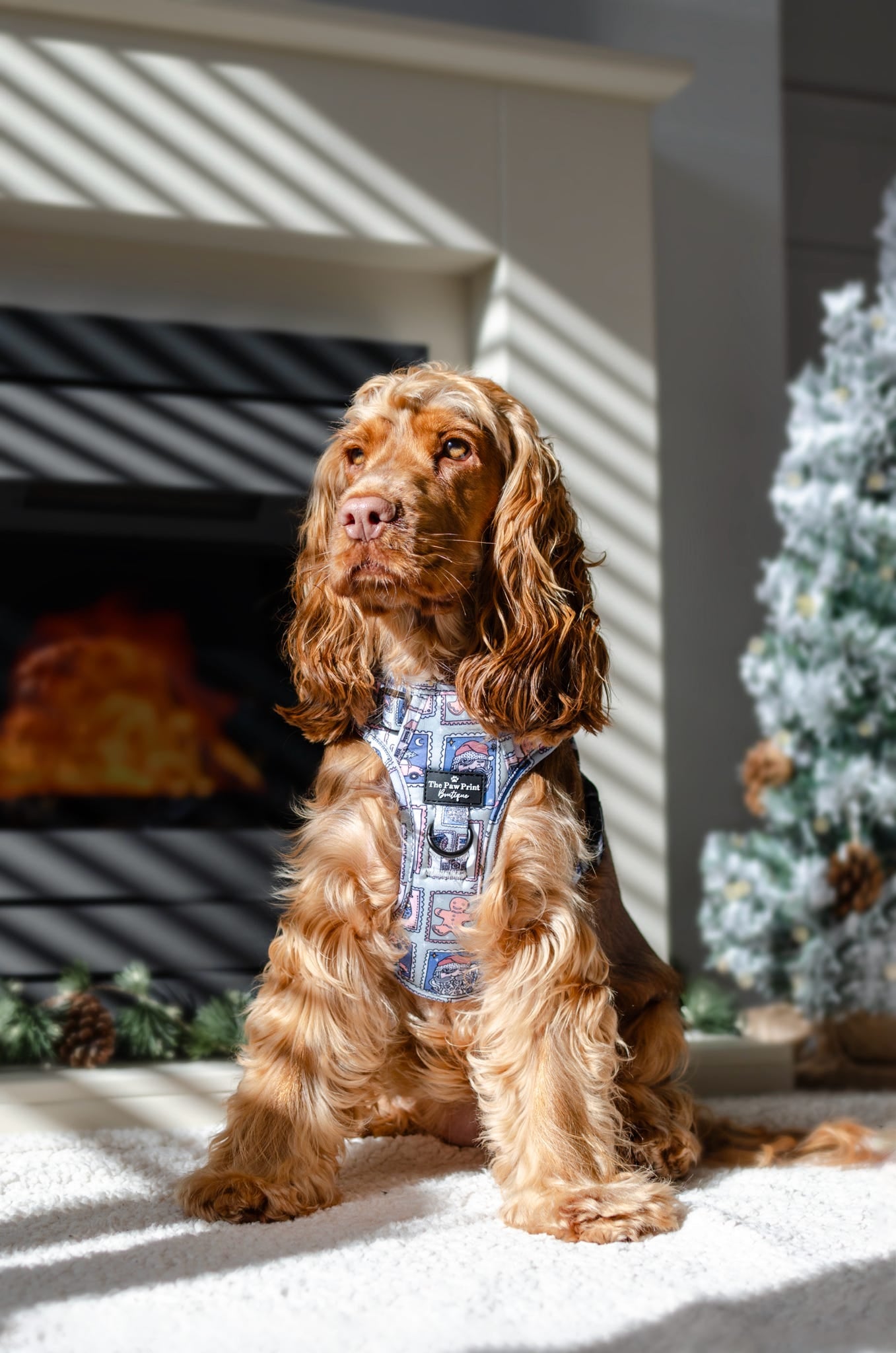 The Santas Stamps Adventure Paws Harness