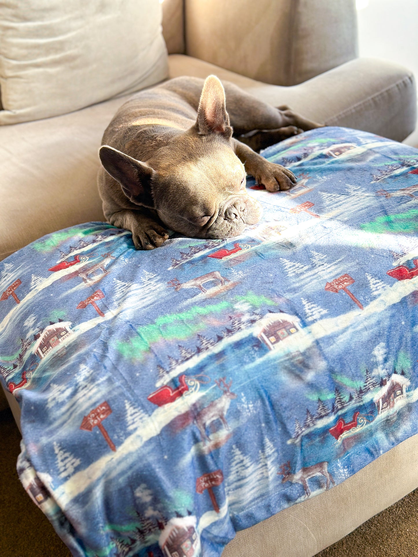 The North Pole Dog Blanket