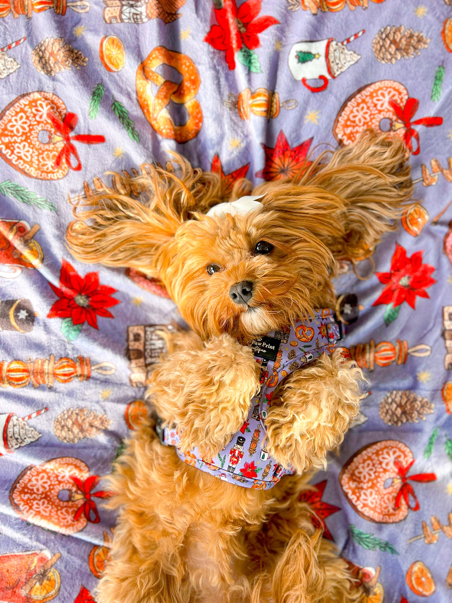 The Christmas Market Adjustable Harness