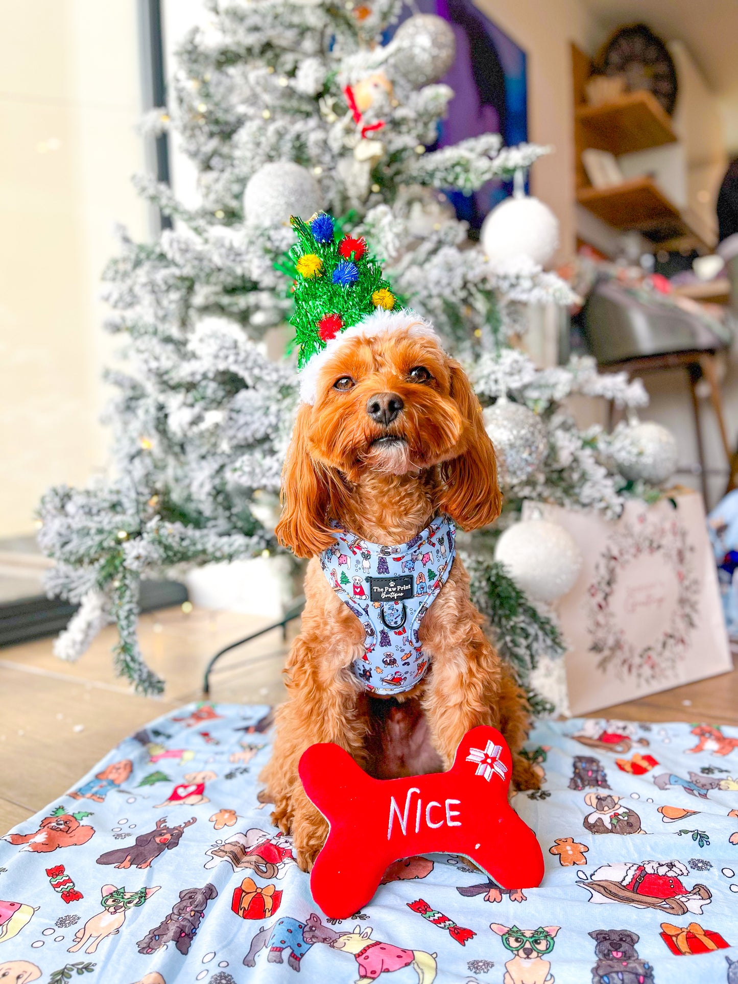 The Santa Paws Adjustable Harness