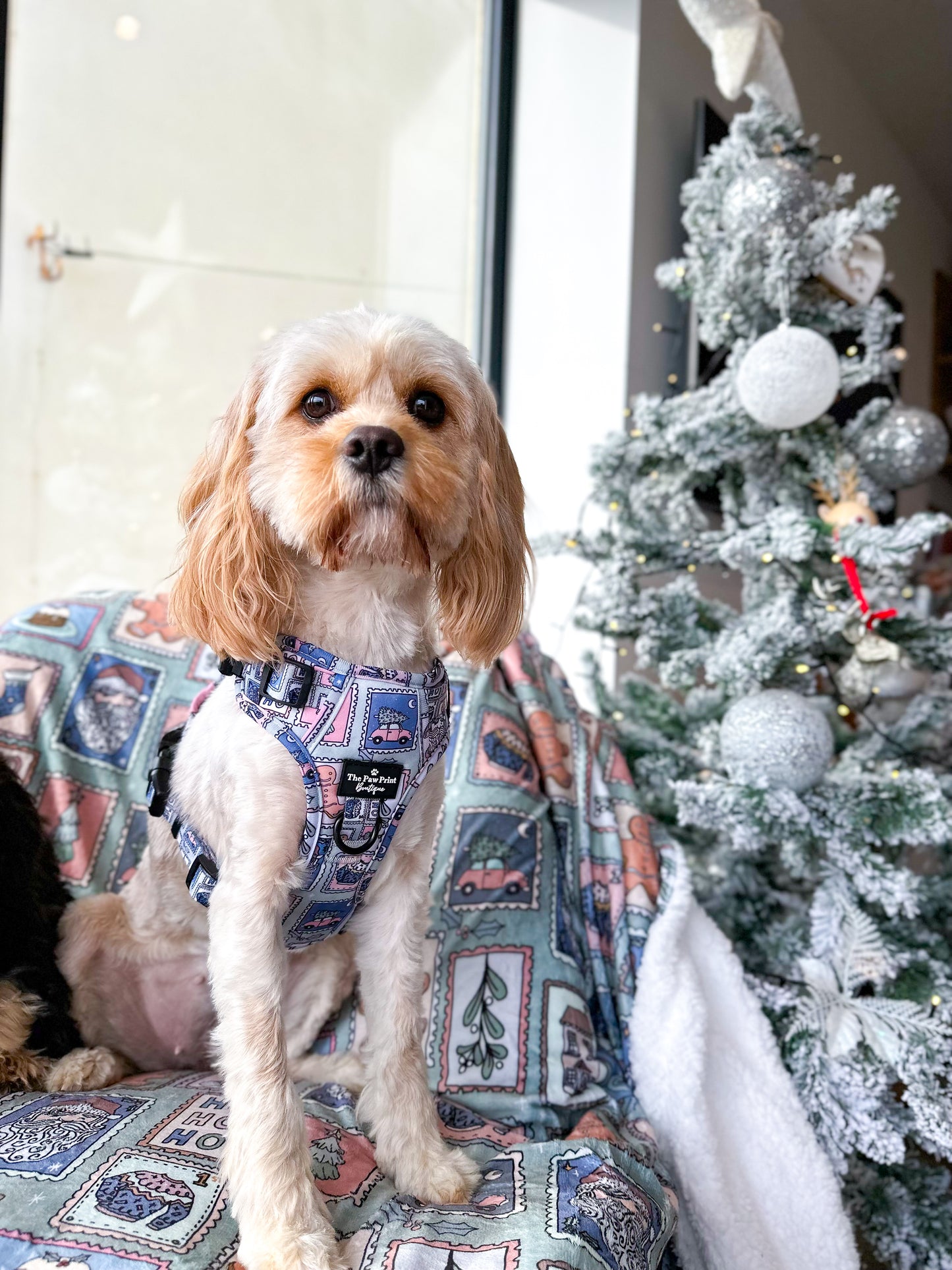 The Santas Stamps Adjustable Harness