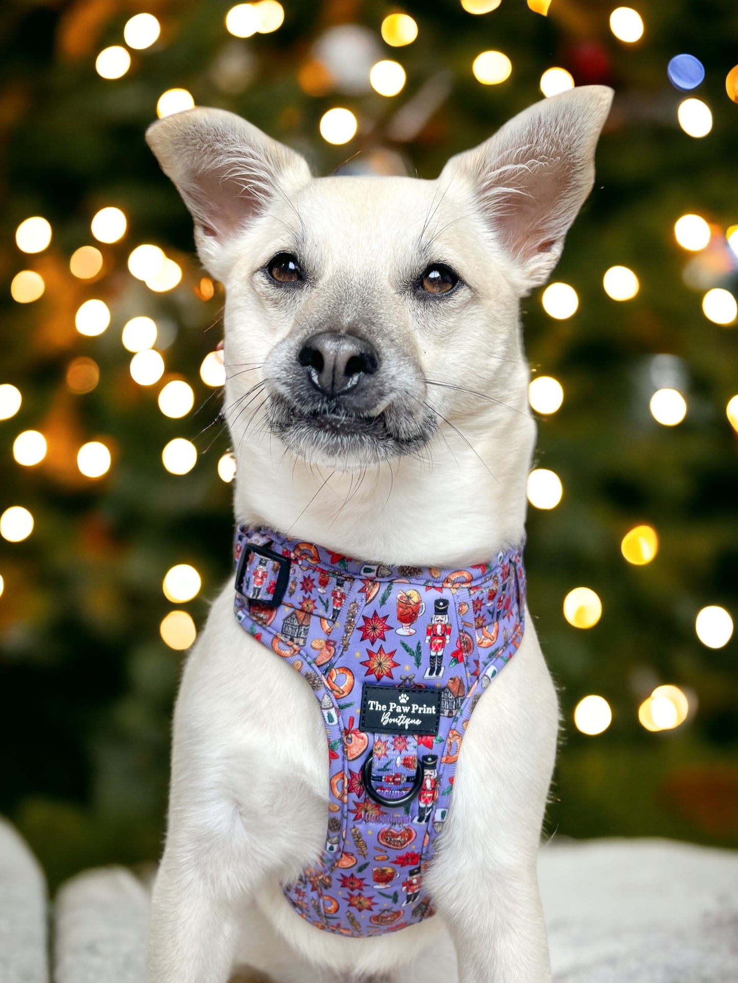 The Christmas Market Adventure Paws Harness