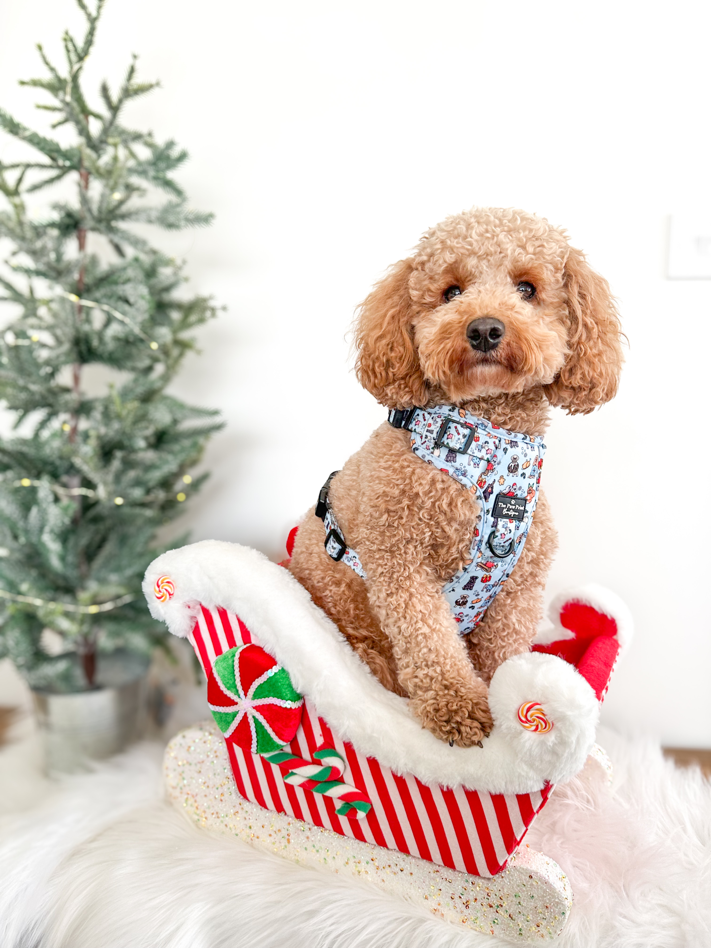 The Santa Paws Adventure Paws Harness