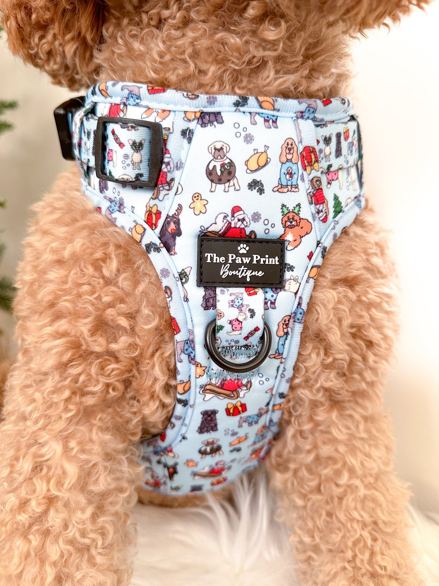 The Santa Paws Adventure Paws Harness