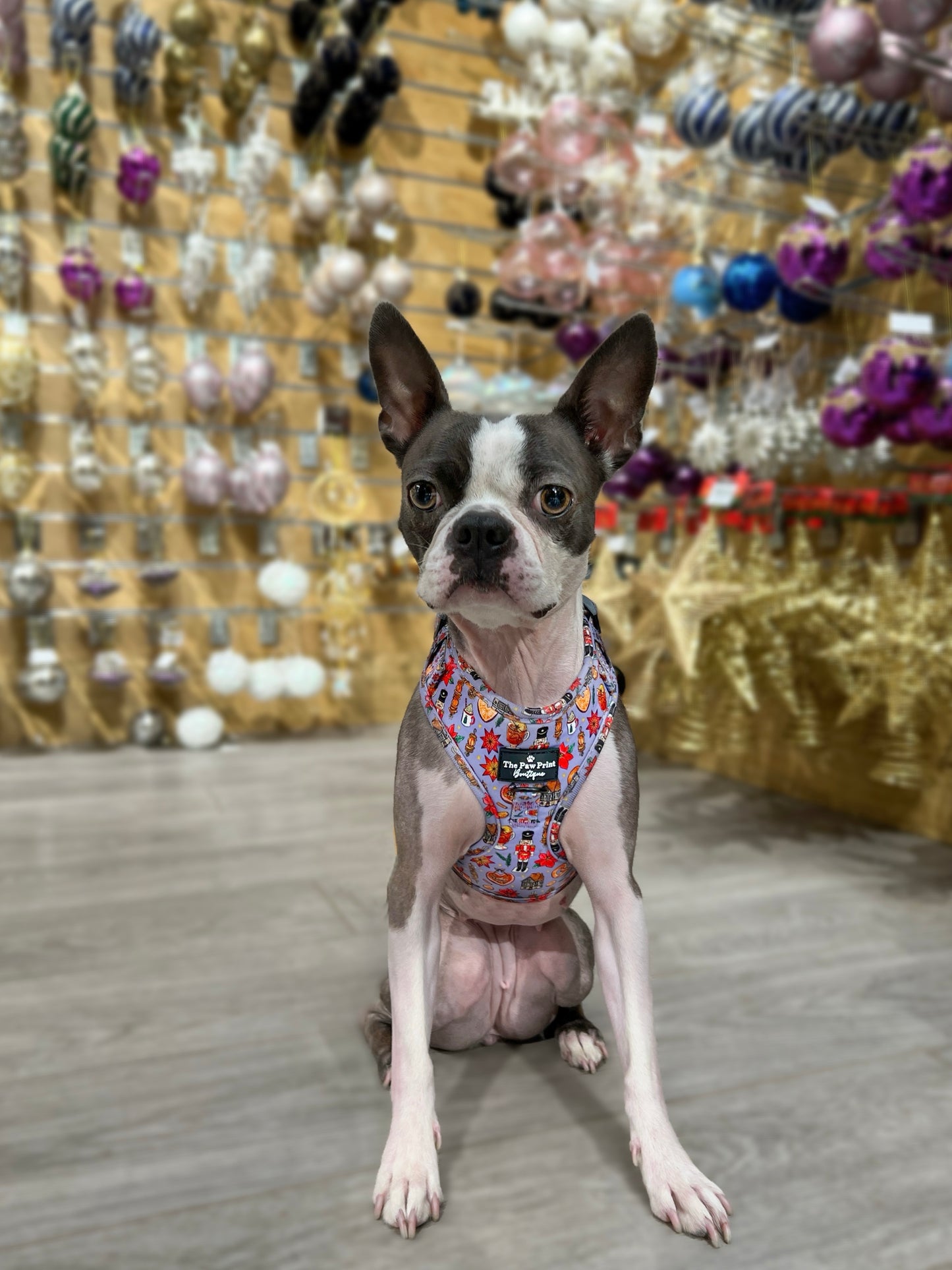 The Christmas Market Adjustable Harness