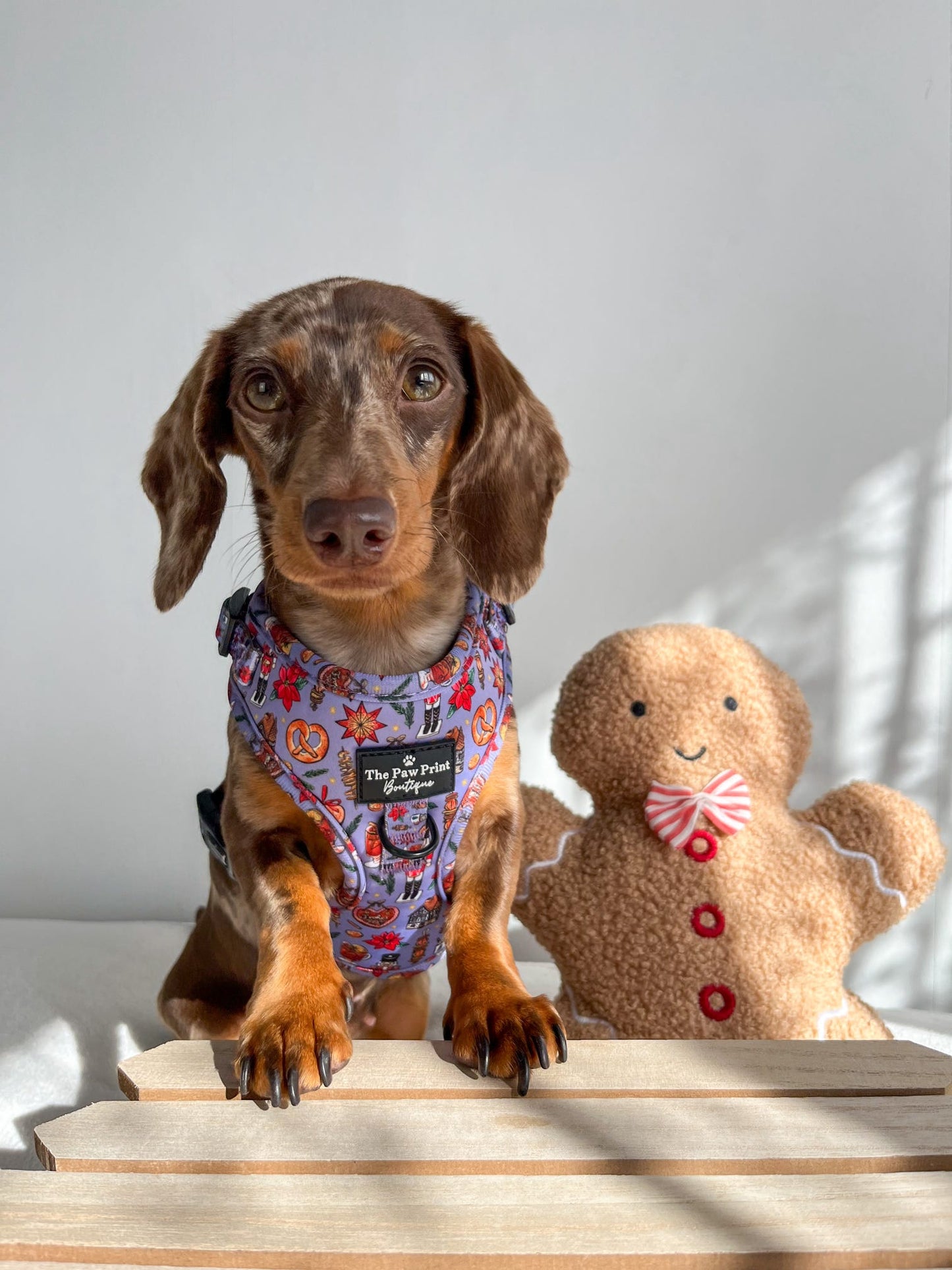 The Christmas Market Adjustable Harness