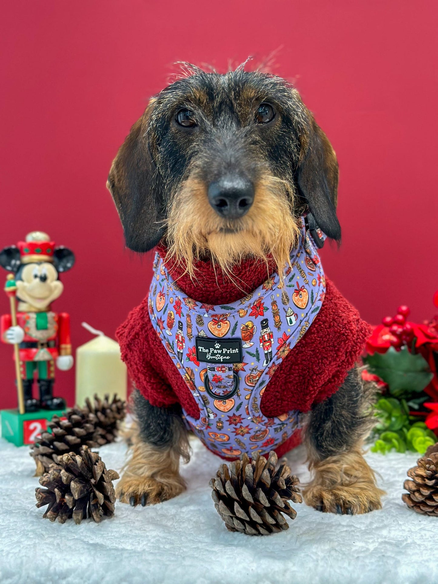 The Christmas Market Adjustable Harness