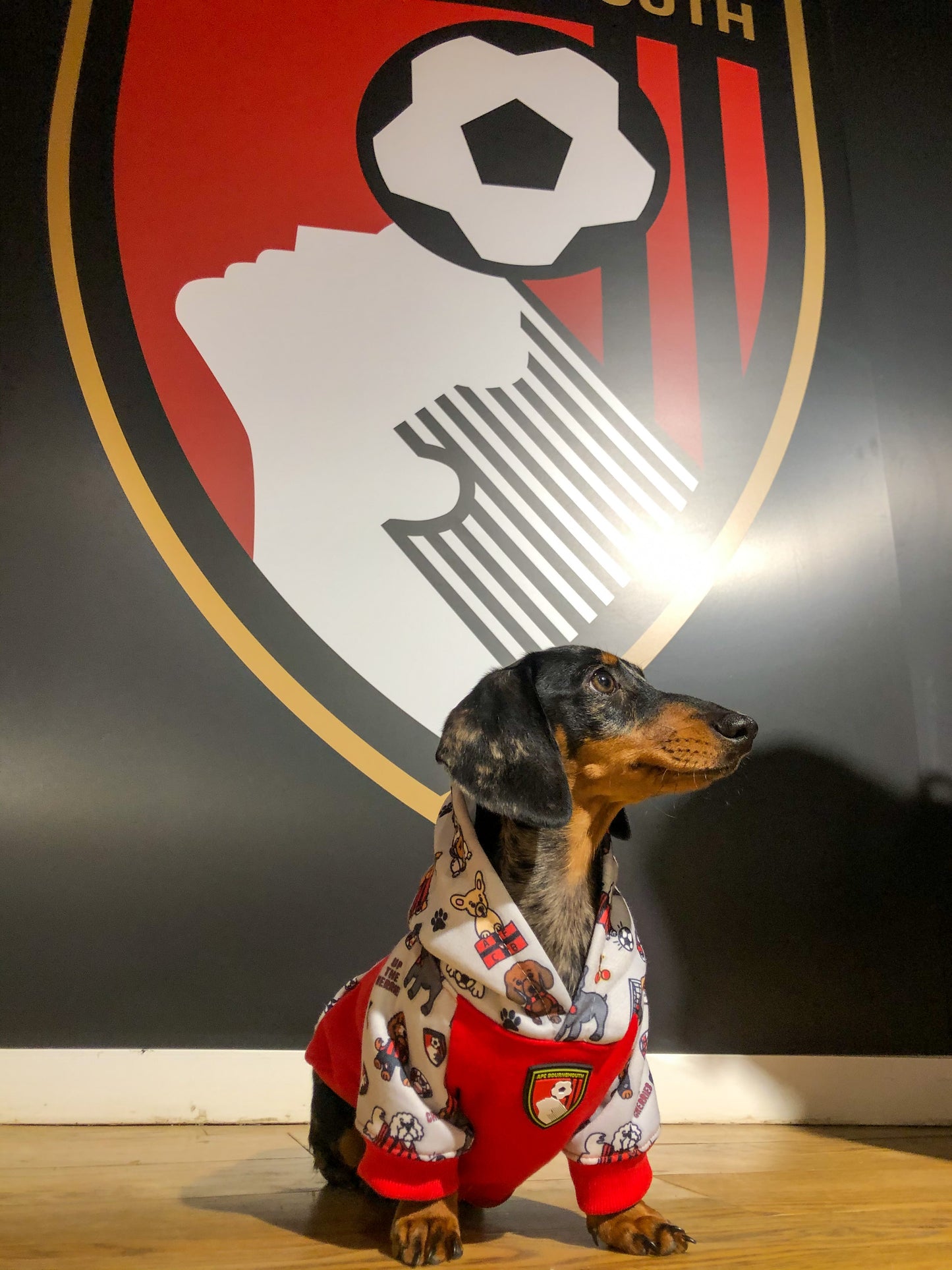 The AFC Bournemouth Dog Hoodie