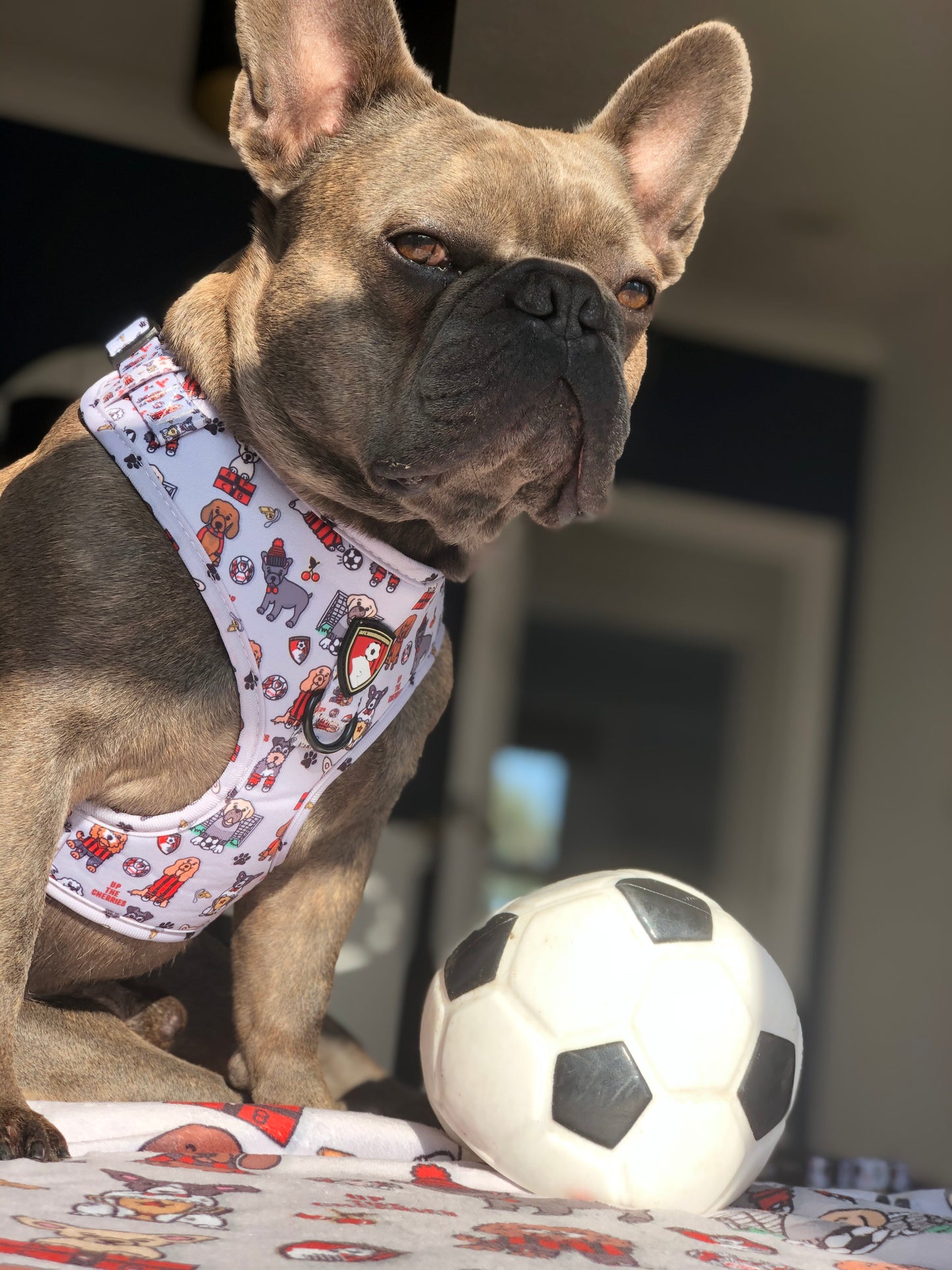 The AFC Bournemouth Adjustable Harness