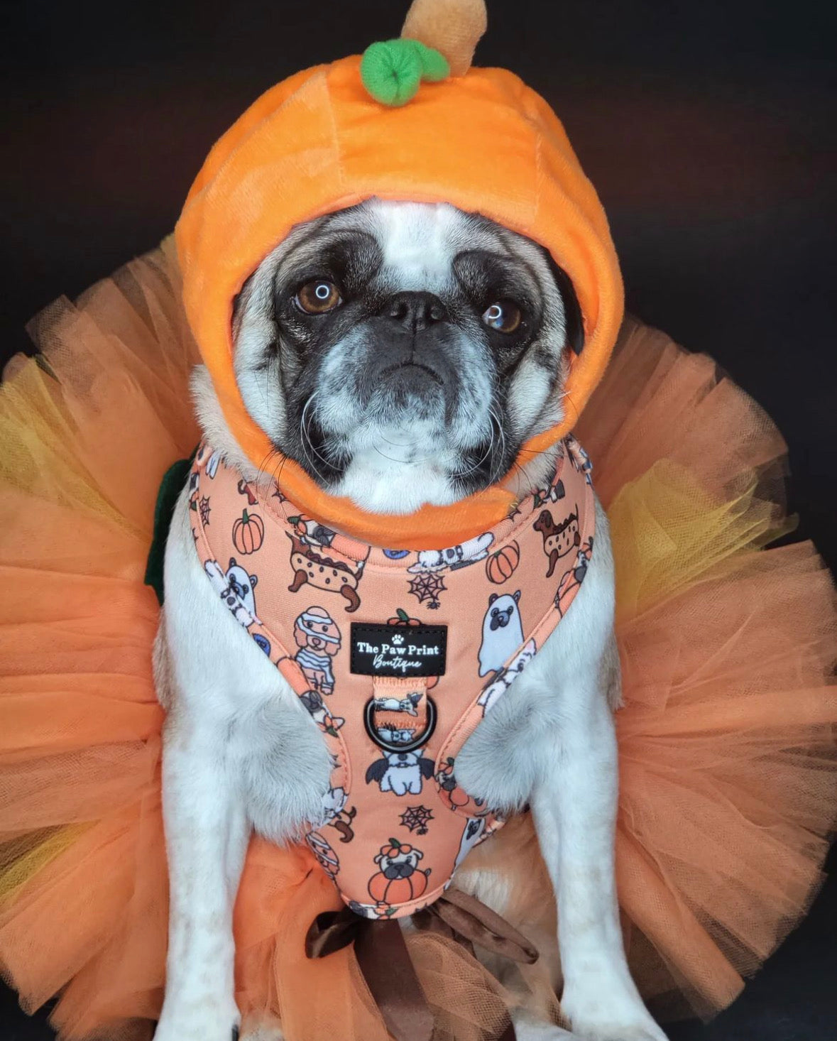 The Happy Howloween Harness