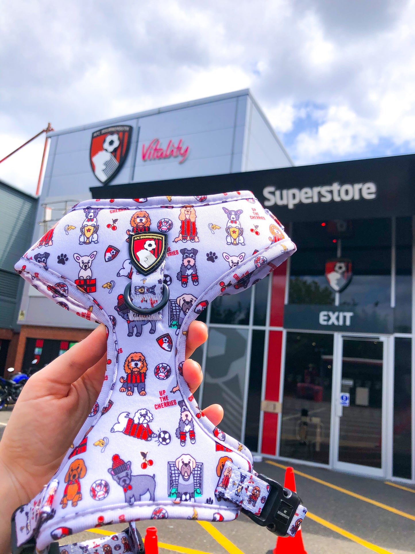 The AFC Bournemouth Adjustable Harness