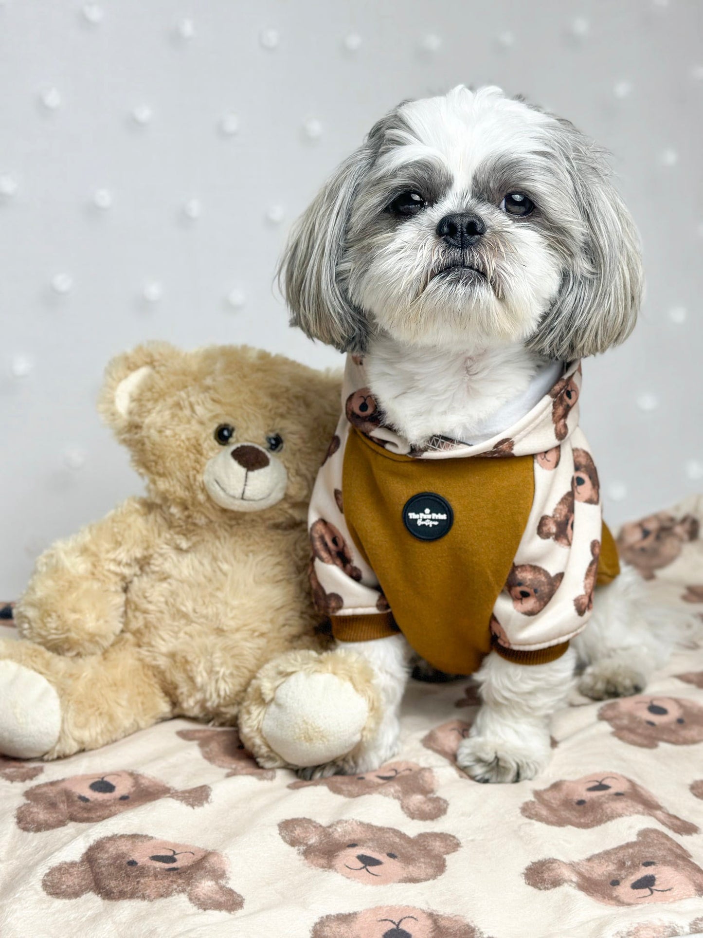 The Little Bear Cub Hoodie (Brown)