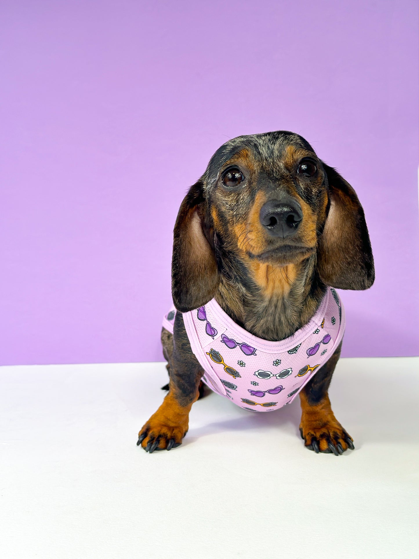 The Sassy Sunnies Cooling Vest