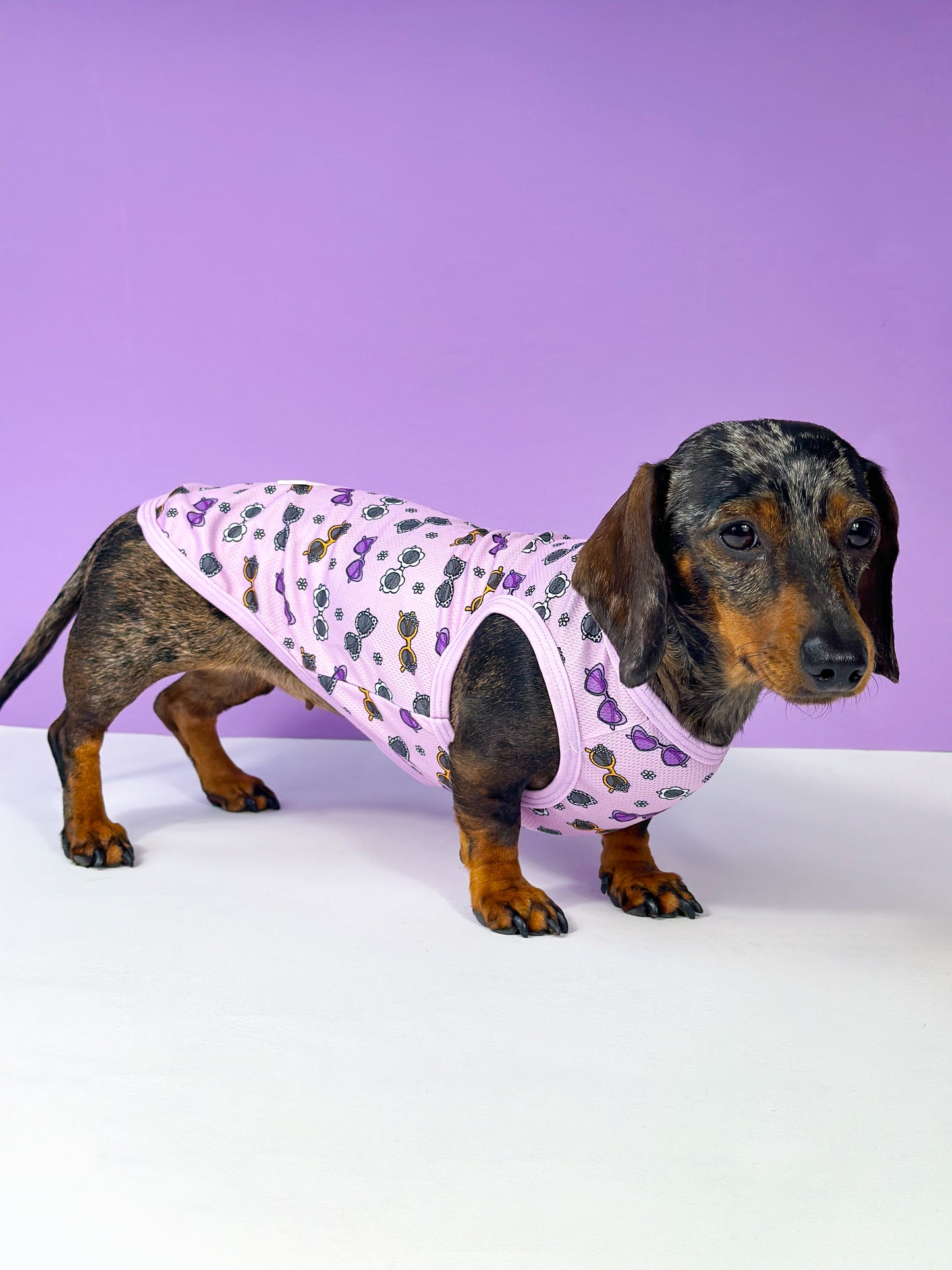 The Sassy Sunnies Cooling Vest