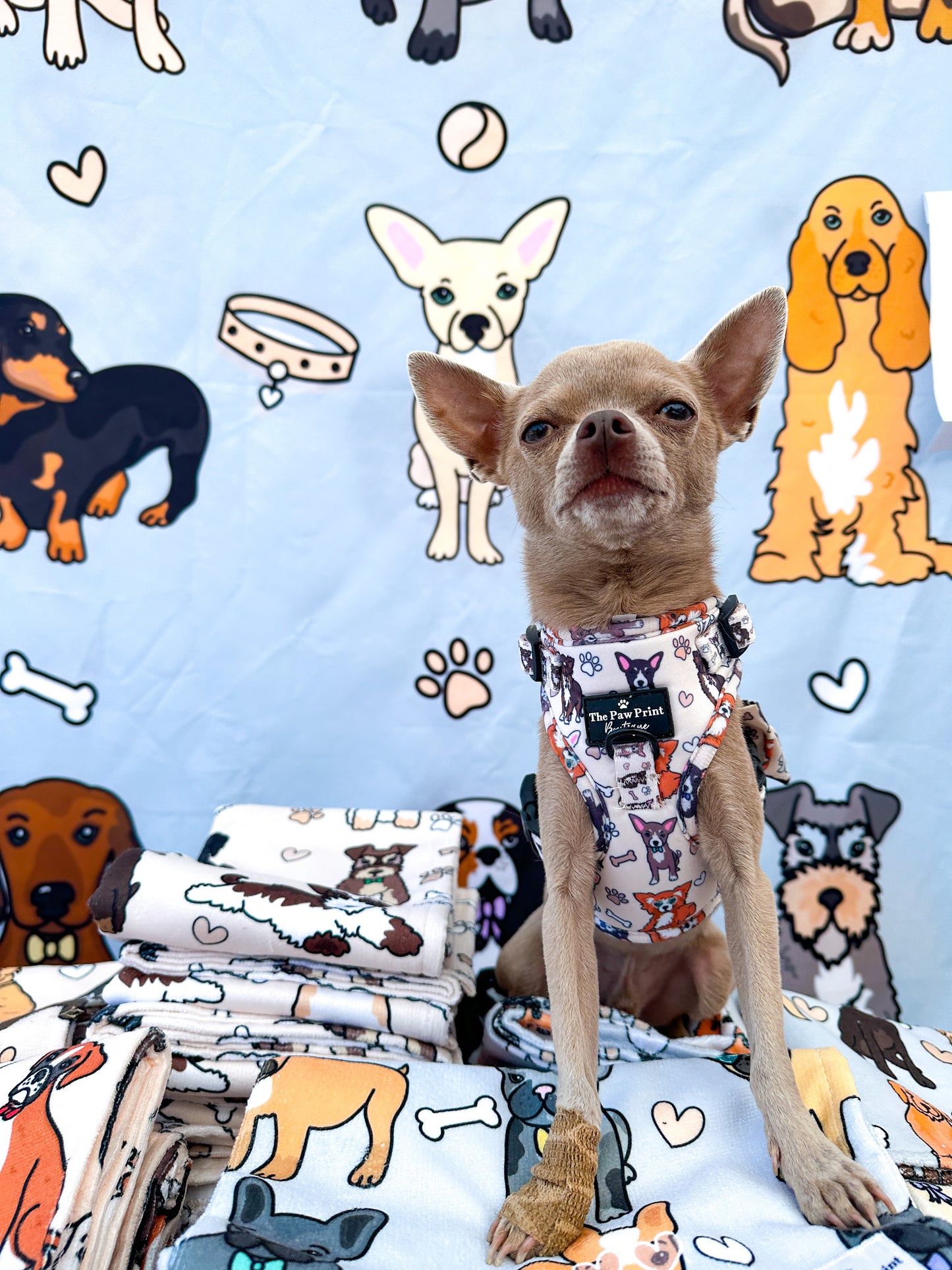 The Chihuahua Adjustable Harness