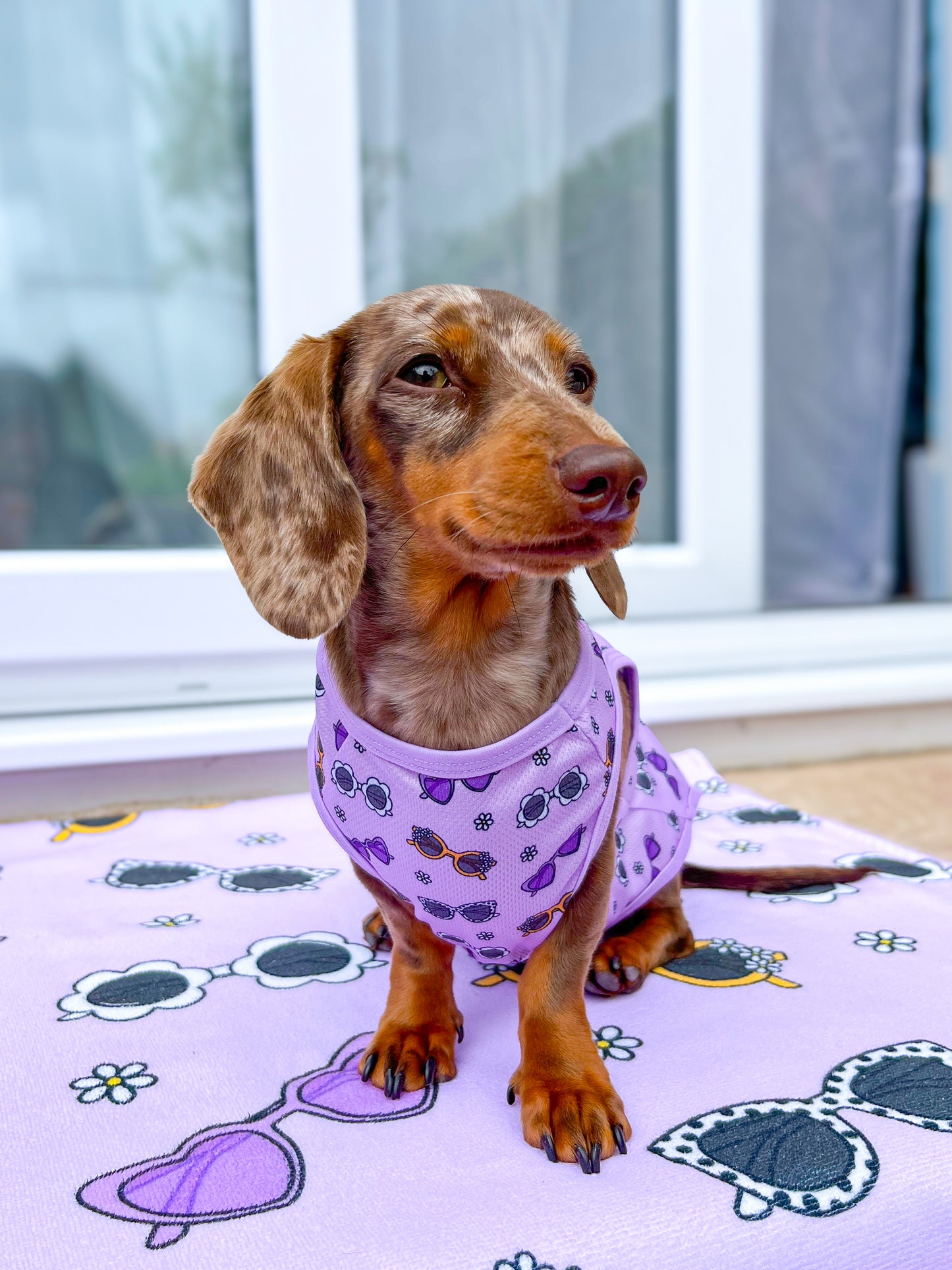 The Sassy Sunnies Cooling Vest