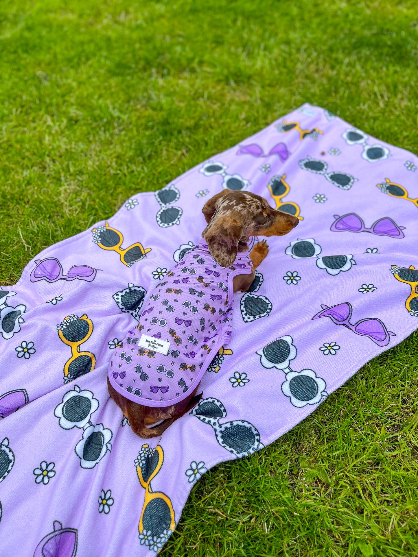The Sassy Sunnies Cooling Vest