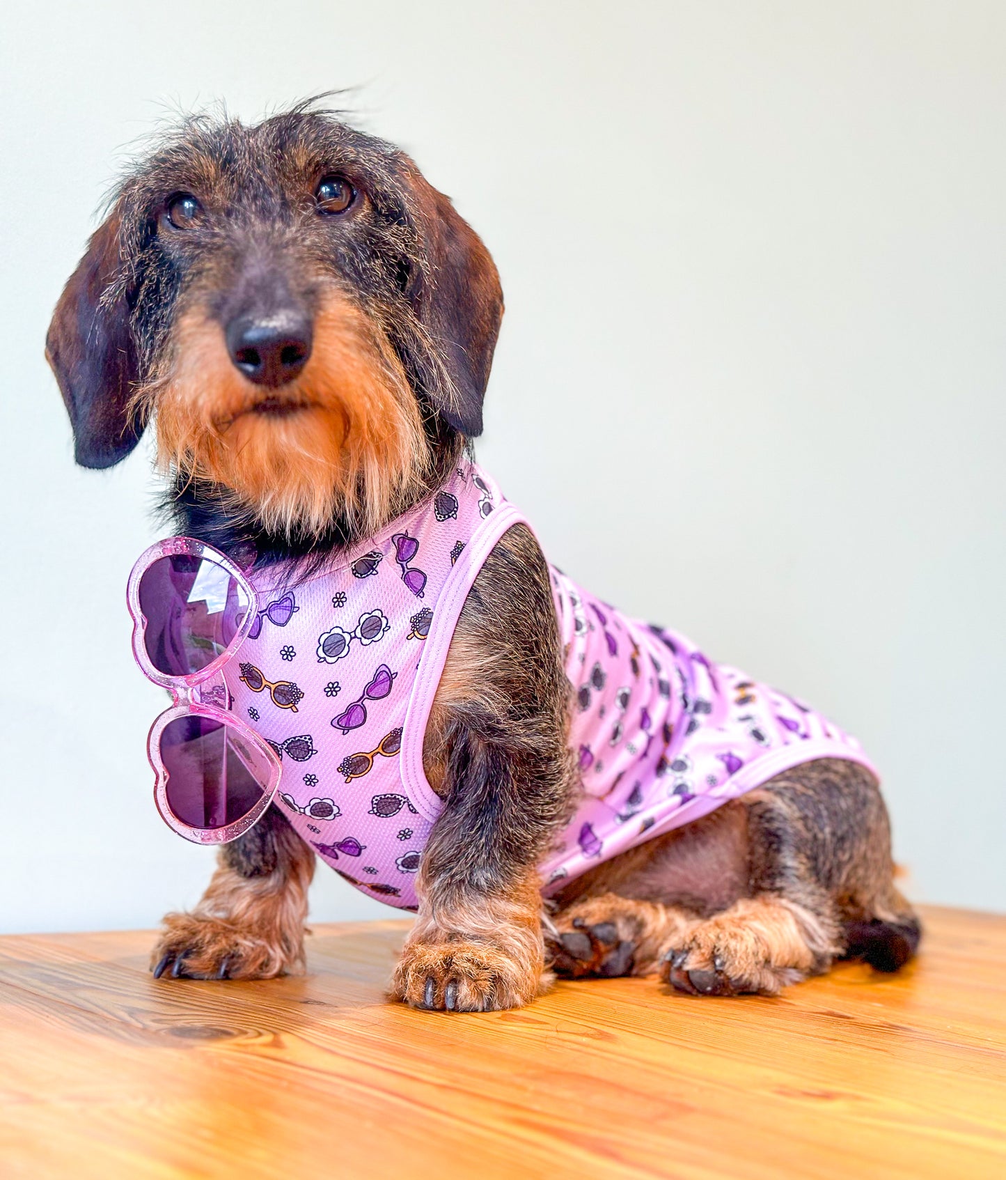 The Sassy Sunnies Cooling Vest