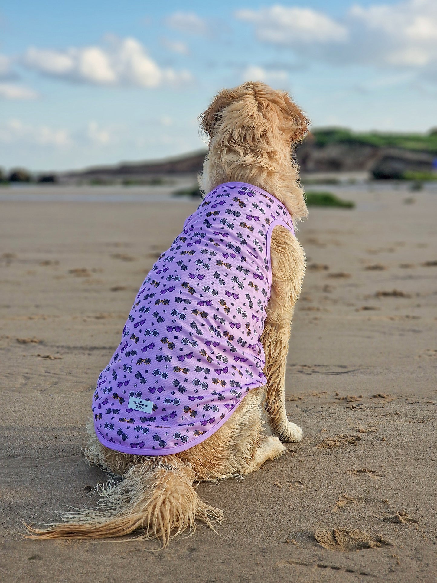 The Sassy Sunnies Cooling Vest