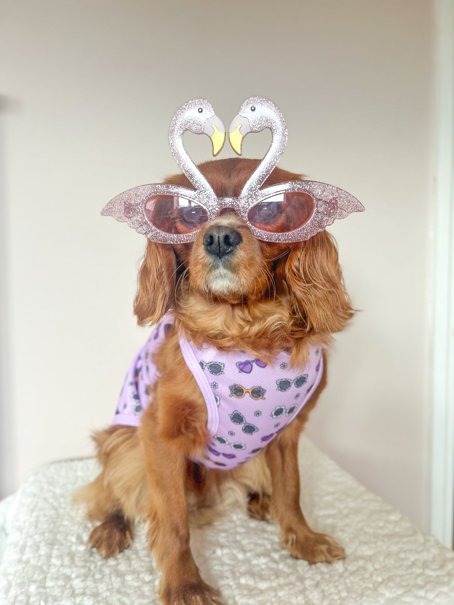 The Sassy Sunnies Cooling Vest