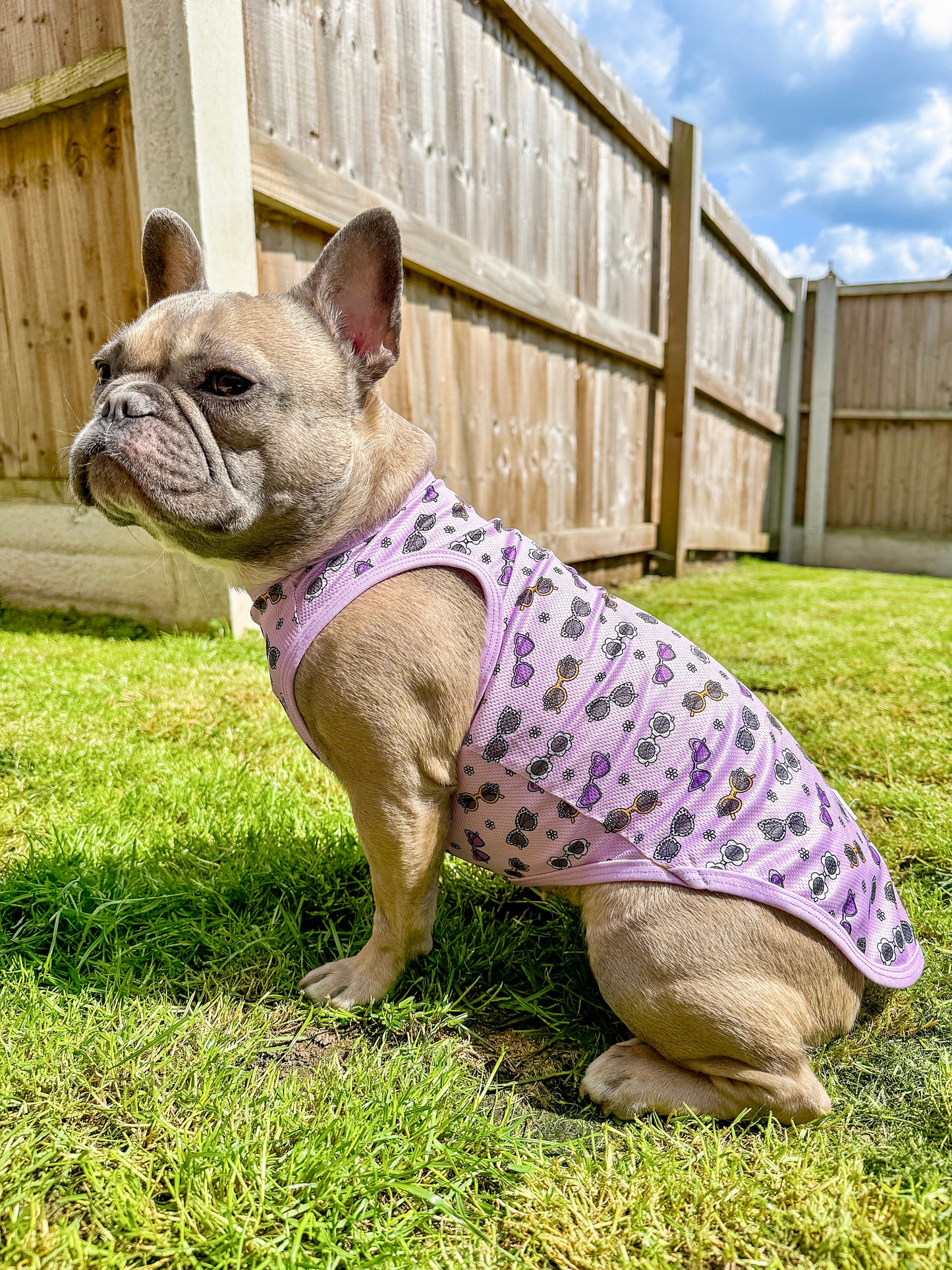 The Sassy Sunnies Cooling Vest