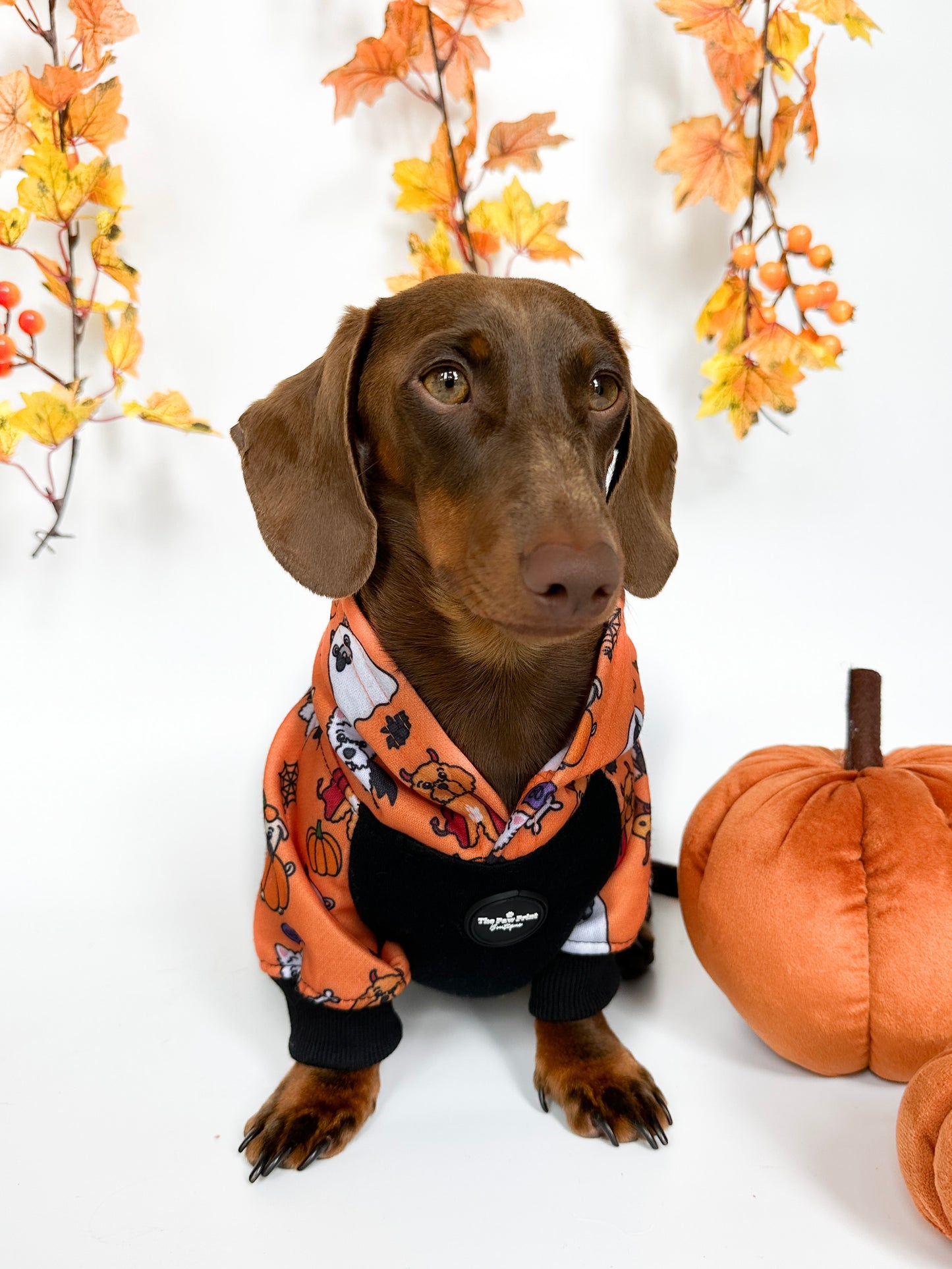 The Happy Howloween Hoodie (Black)