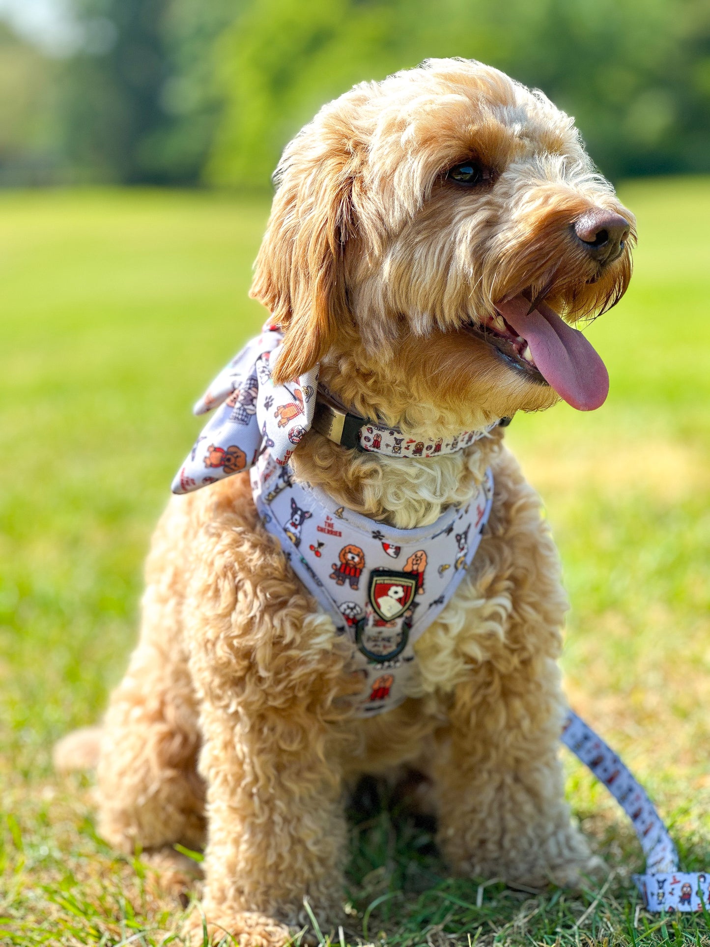 The AFC Bournemouth Adjustable Harness
