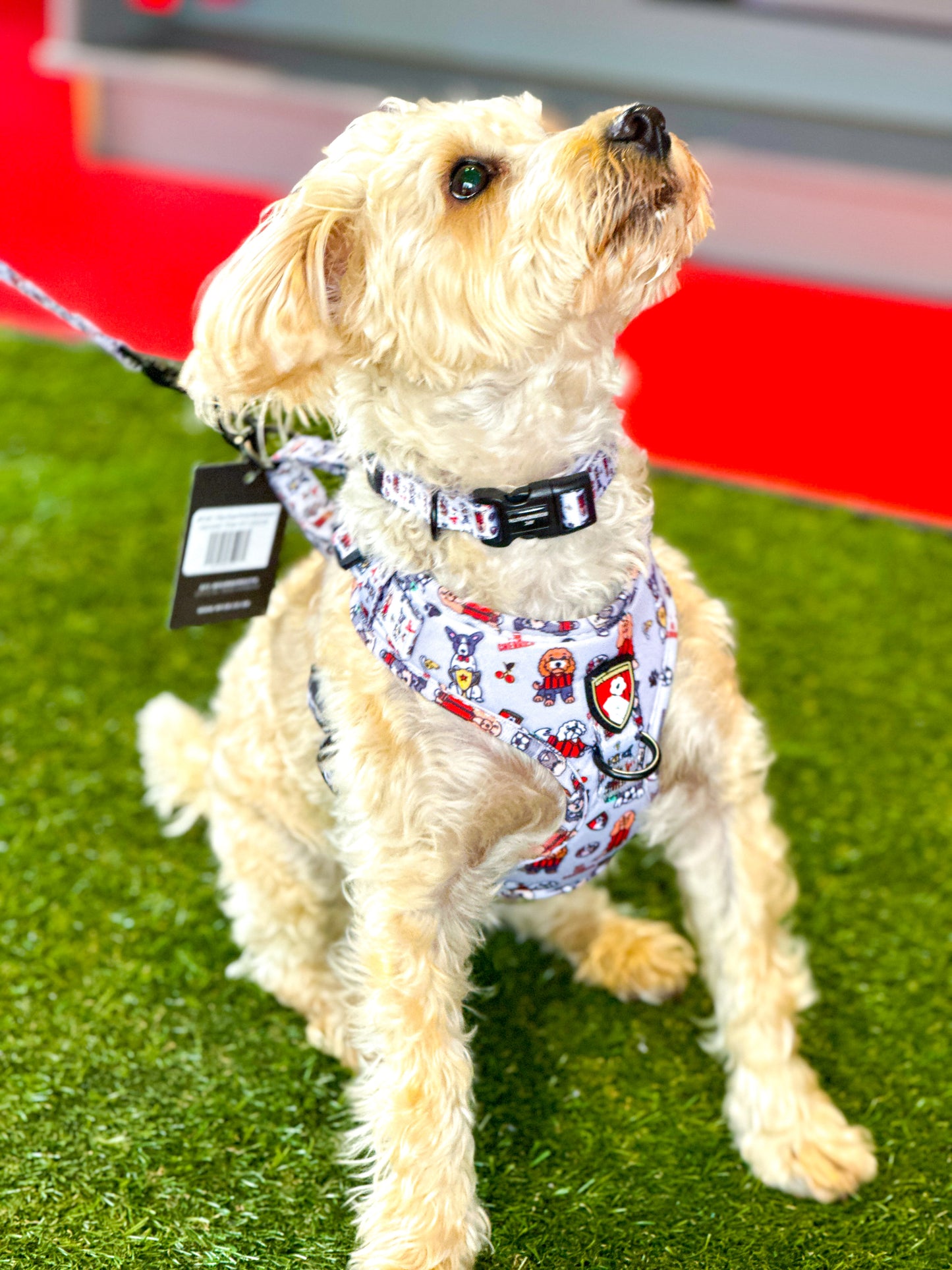 The AFC Bournemouth Adjustable Harness