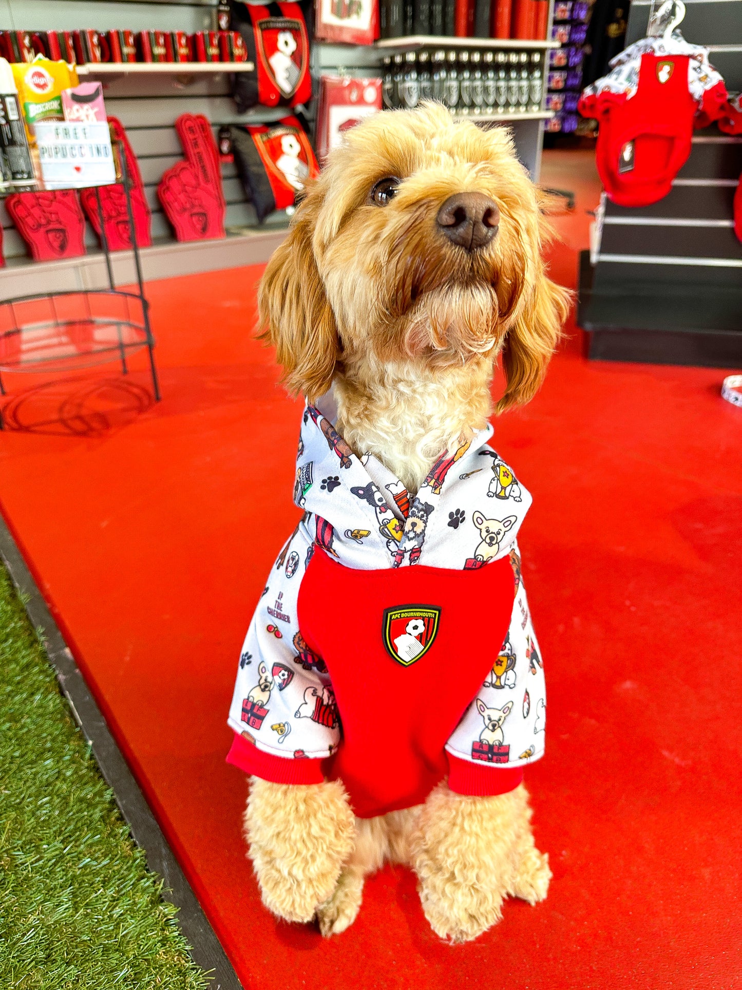 The AFC Bournemouth Dog Hoodie