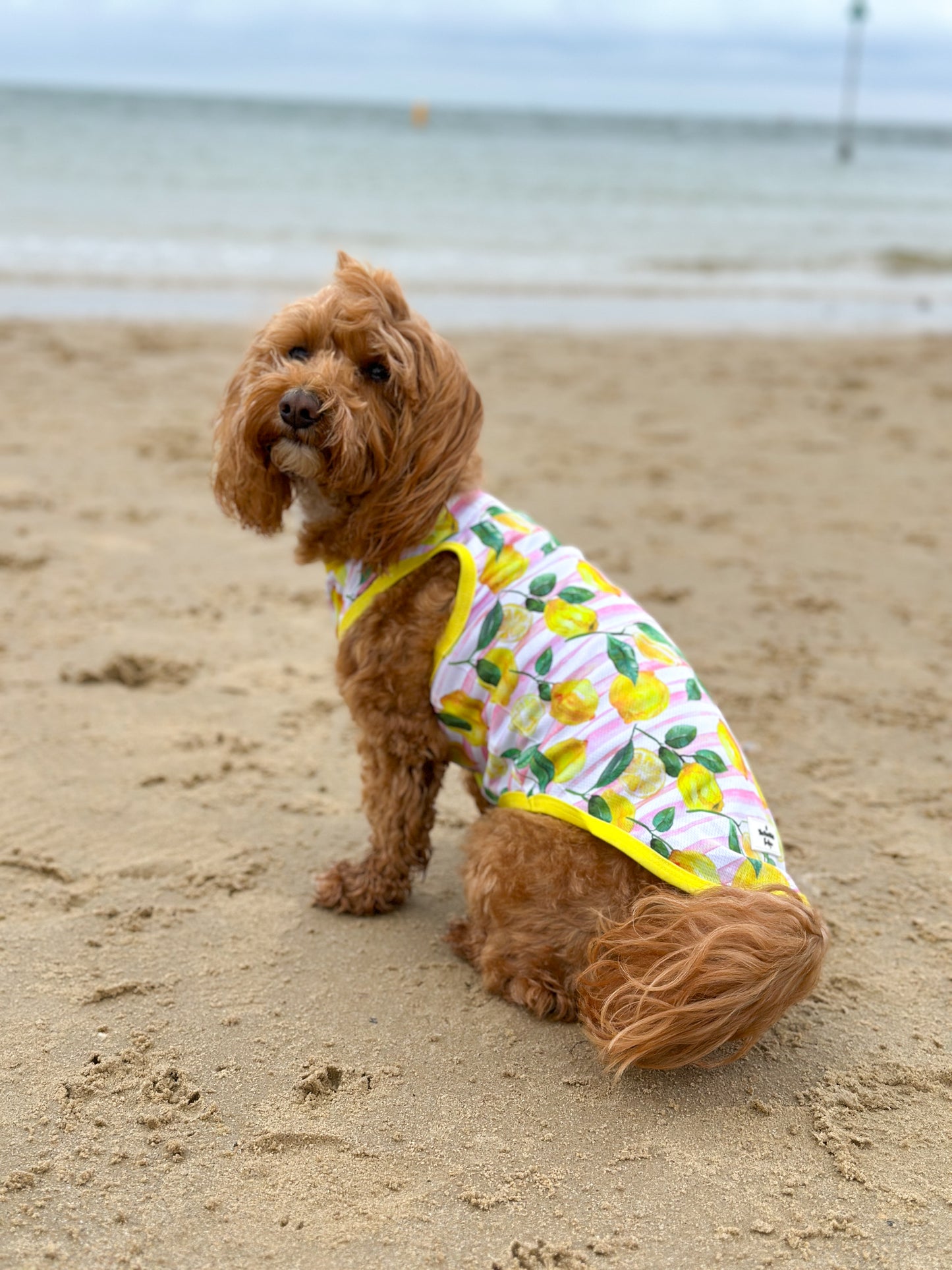 La Dolce Vita Cooling Vest